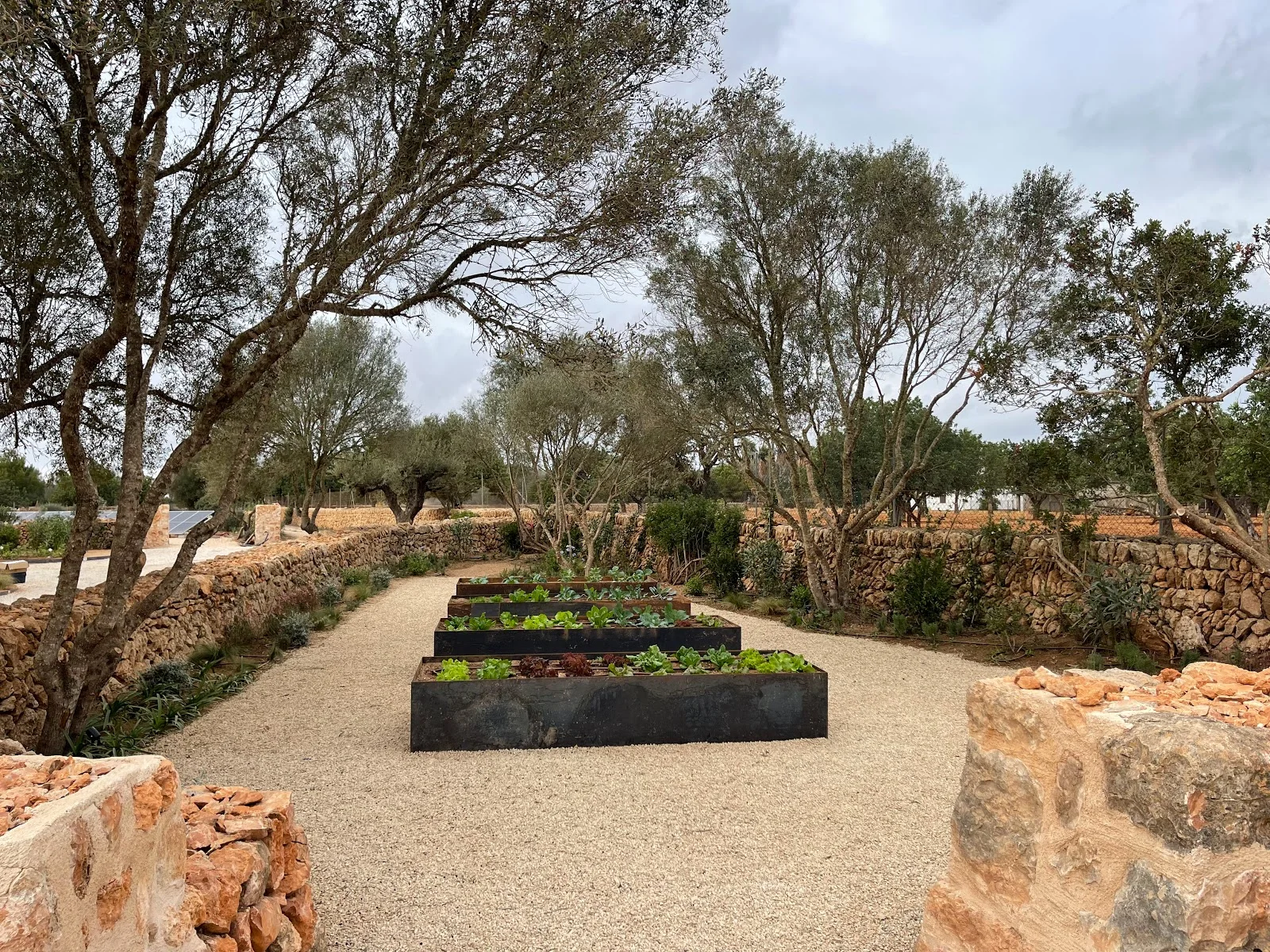 My Landscaping Group - Bild 10