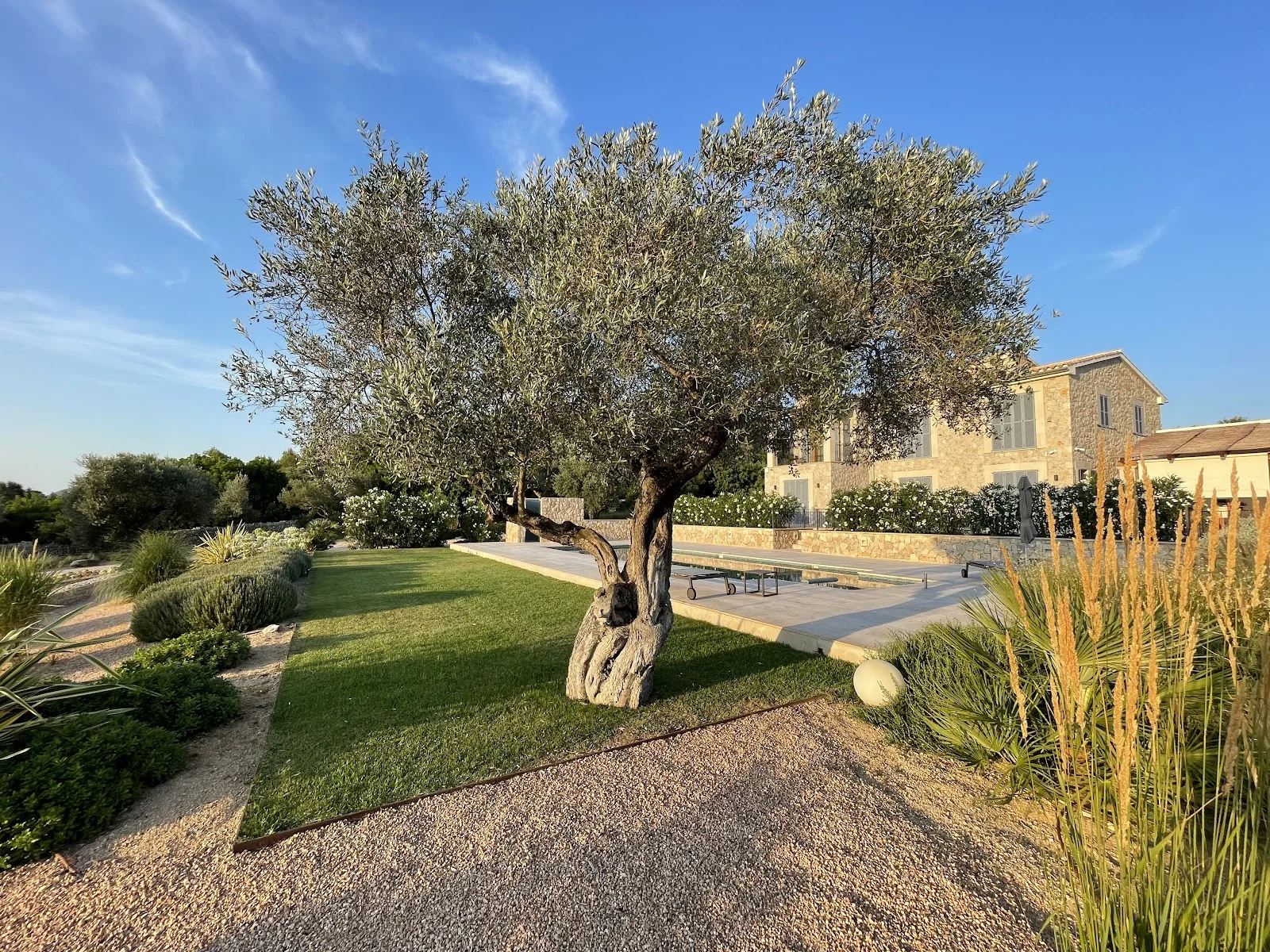 My Landscaping Group - Bild 5