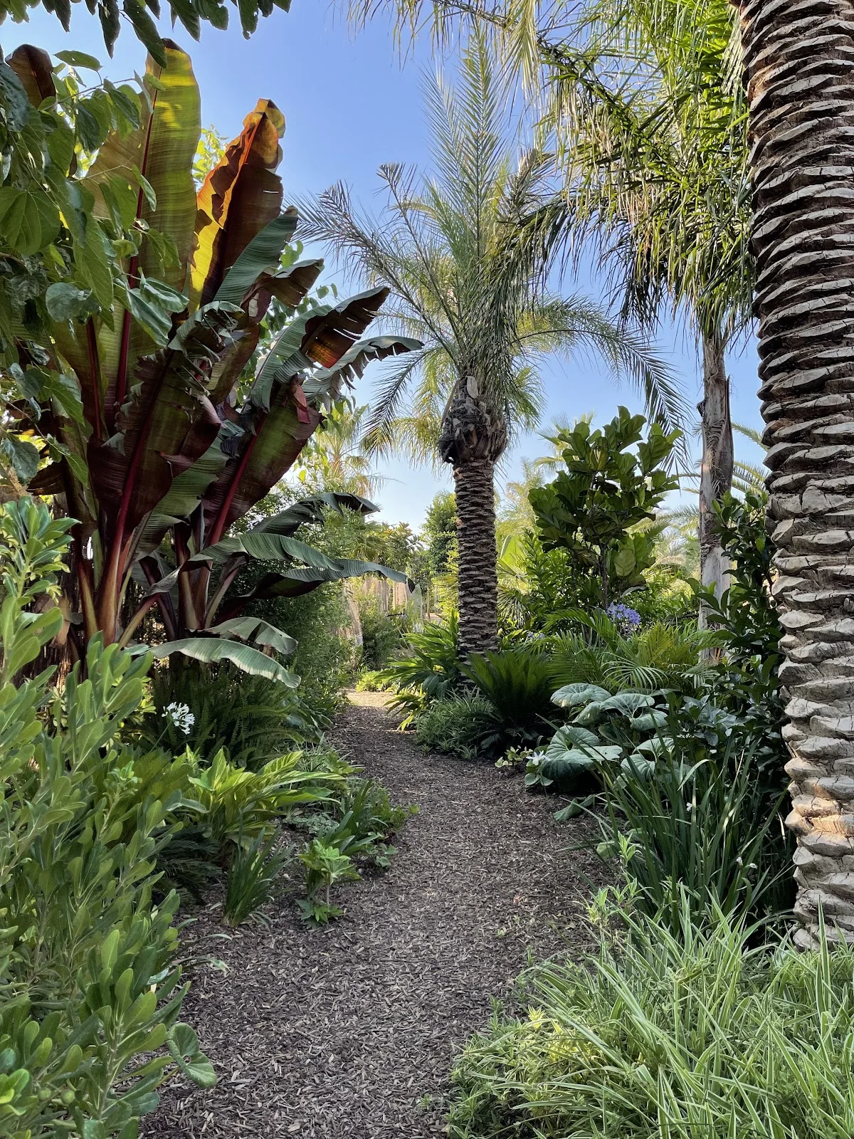 My Landscaping Group - Bild 9