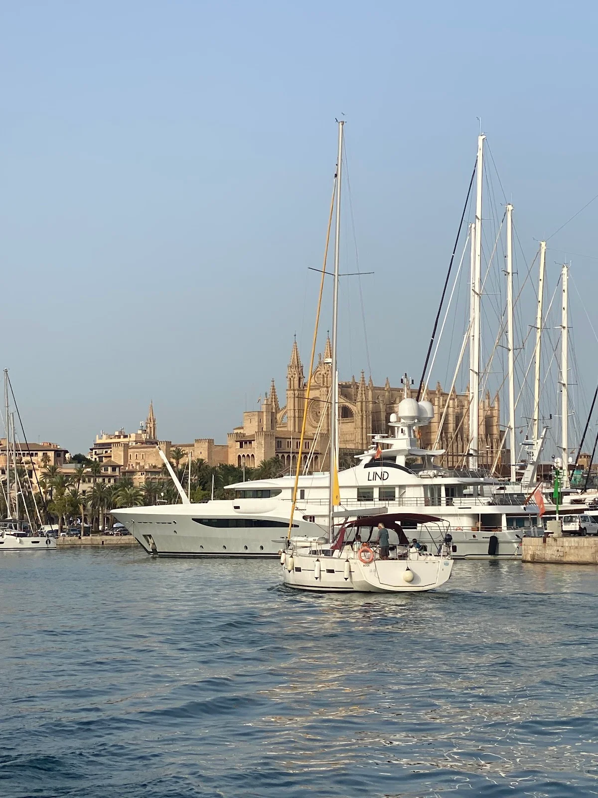 Sail Palma - Bild 10