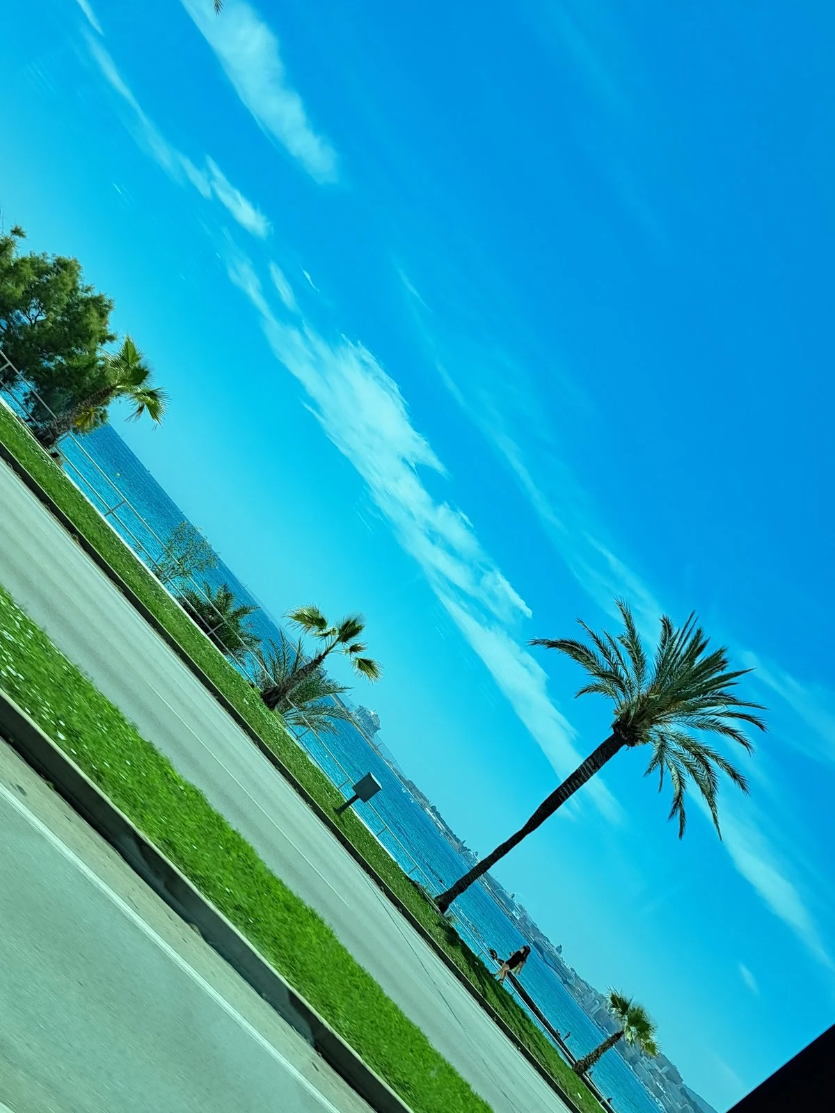 Bolero Mallorca - Bild 2