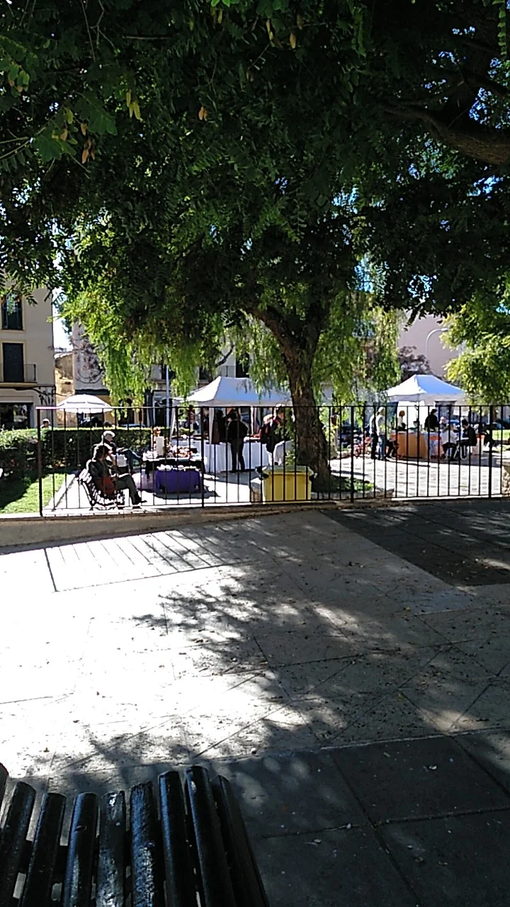 Parròquia de la Concepció i Sant Magí - Bild 7