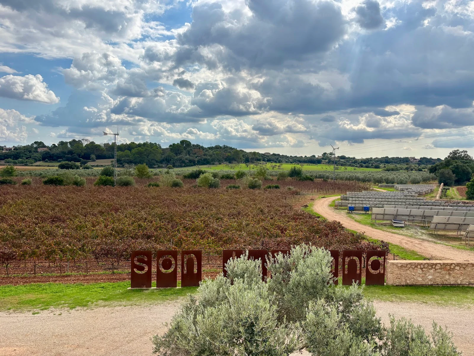 Bodega Son Juliana - Bild 8