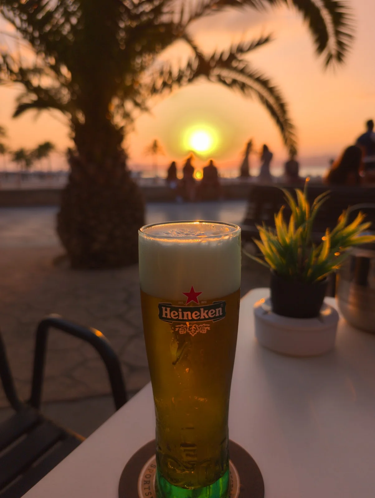 Double Dutch Sportsman - Bild 6