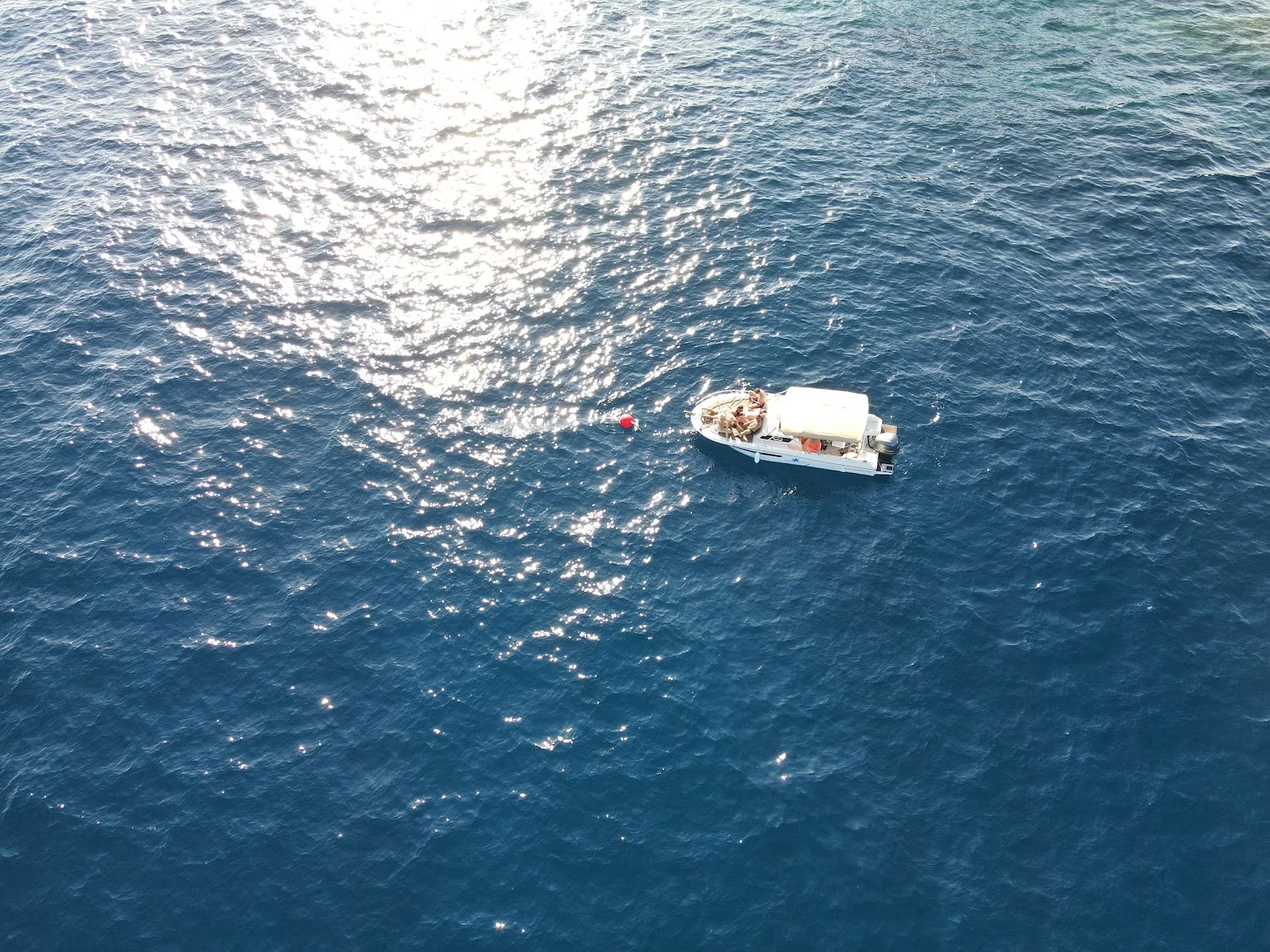 Bon Charter - Bild 5