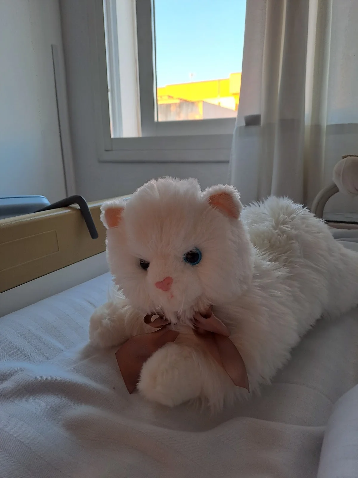 Hospital Verge de la Salut - Bild 7