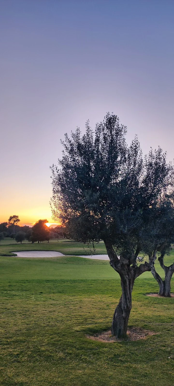 T Golf Calvia - Bild 8