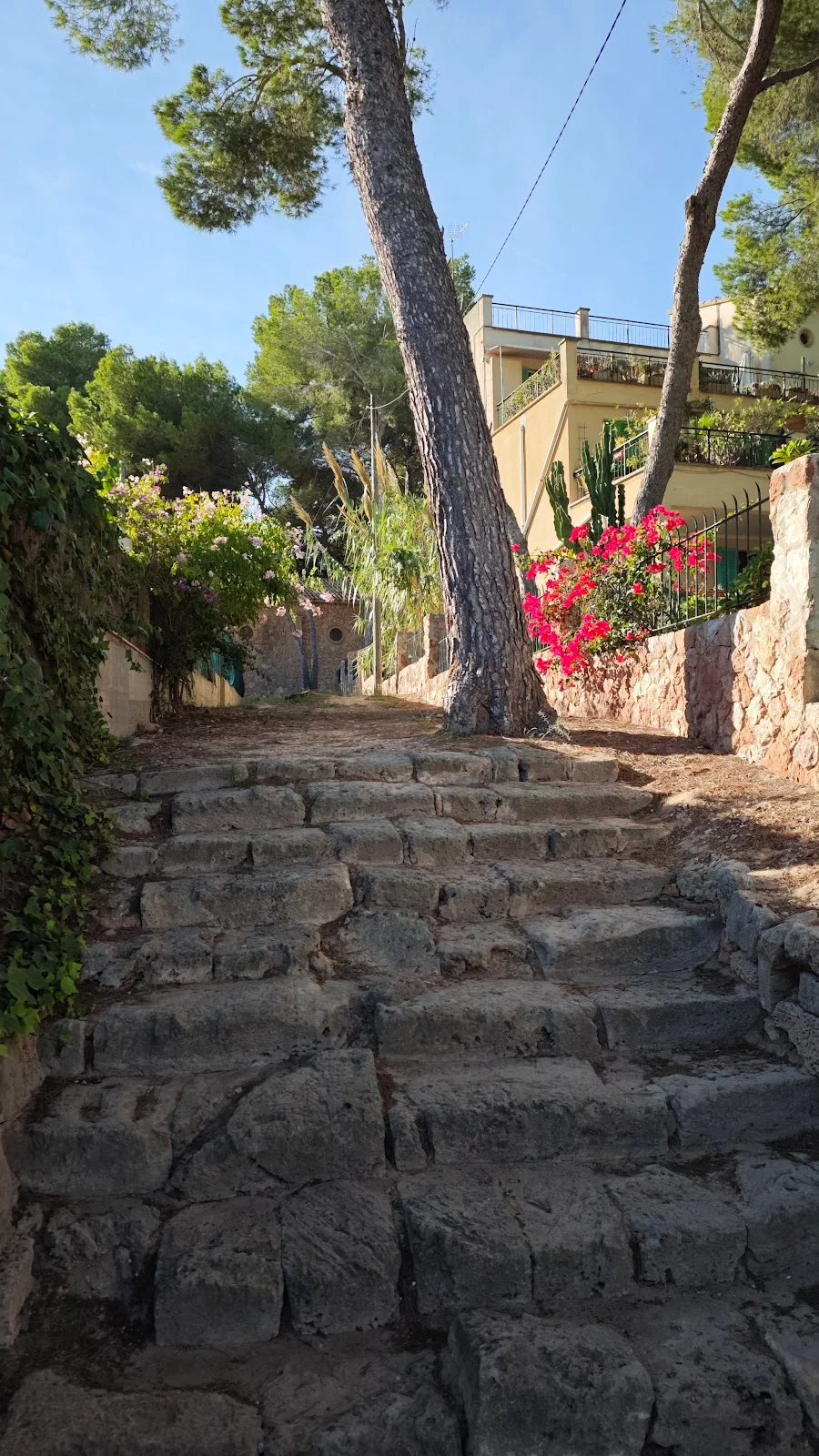 Iglesia greco-cólica ucraniana - Bild 4