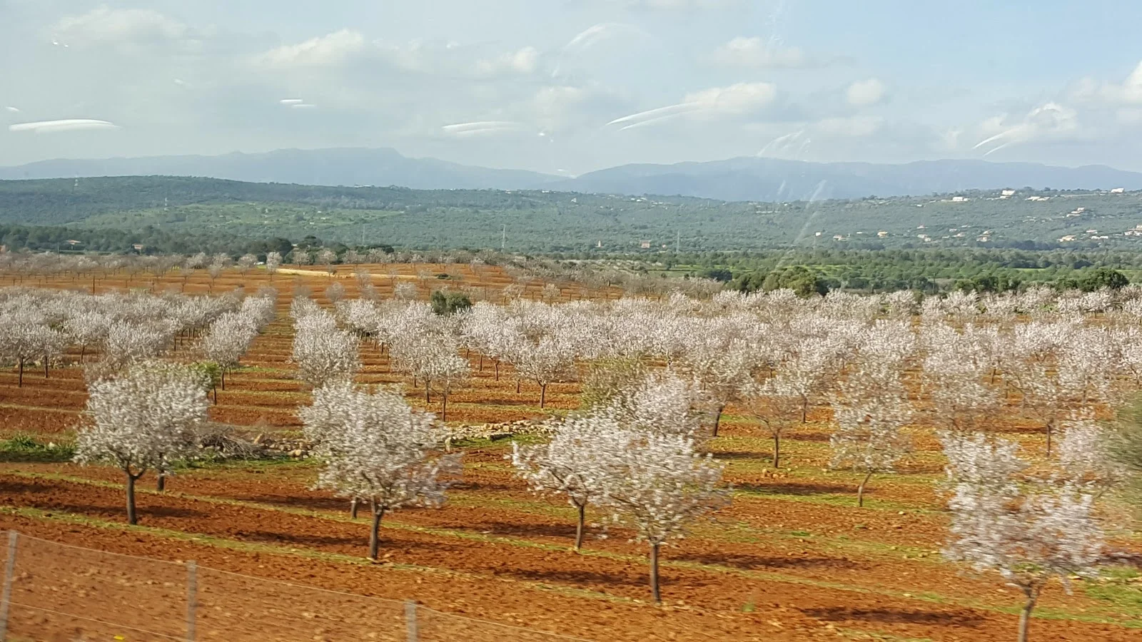 Golf Son Gual Mallorca - Bild 7
