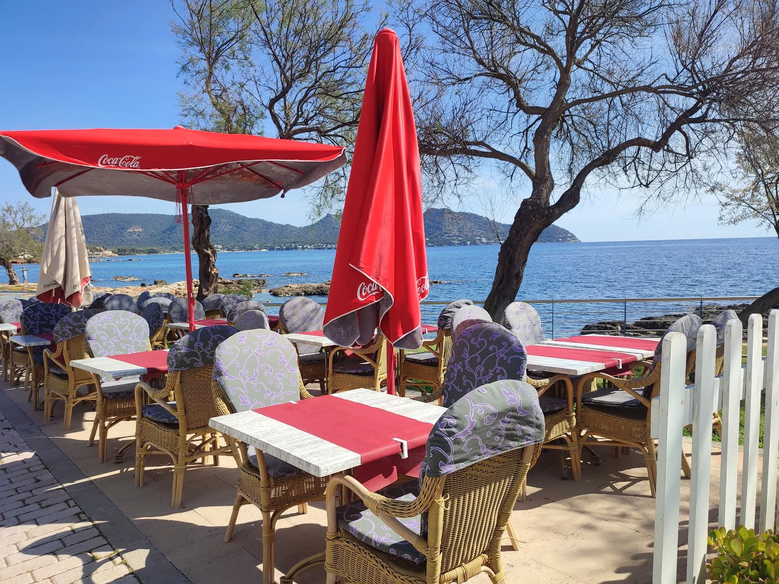 Kashmir Tandoori Indian Restaurant - Bild 5