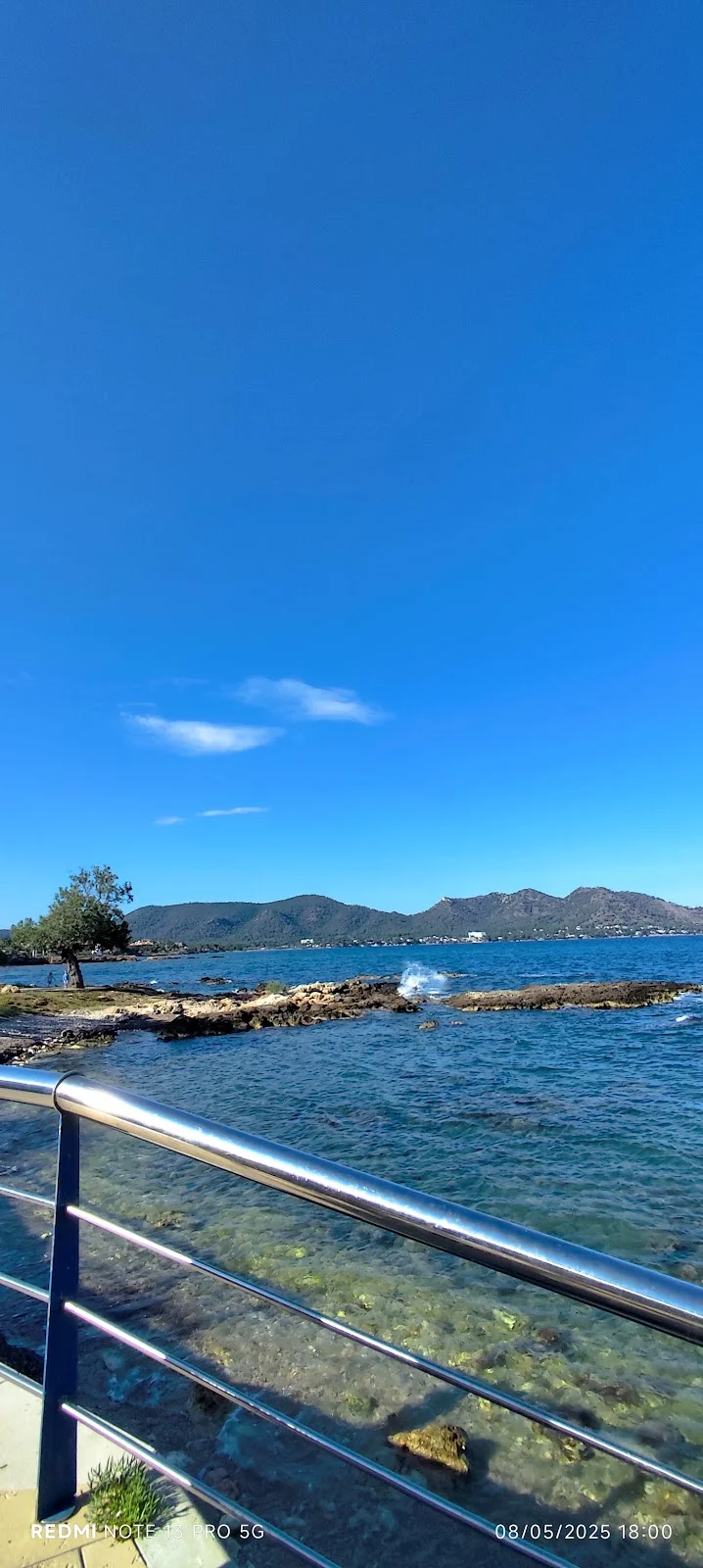 Kashmir Tandoori Indian Restaurant - Bild 8