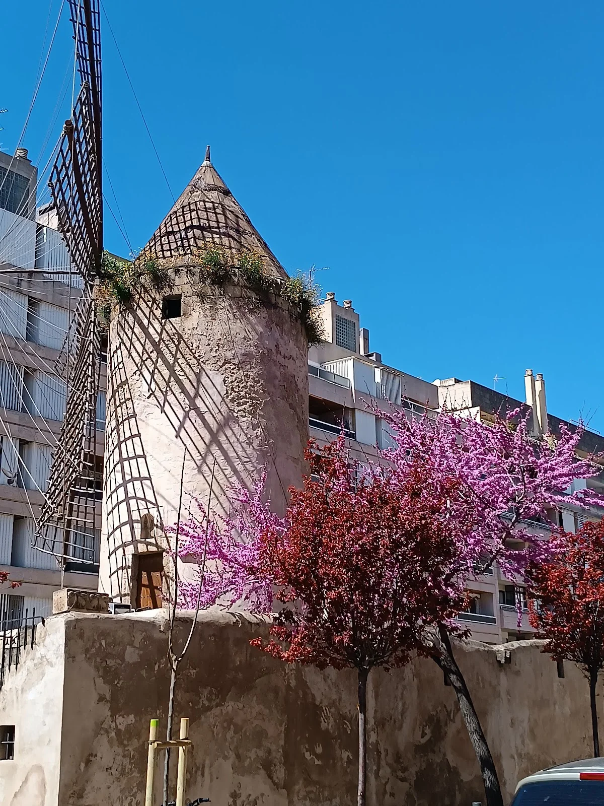 Challenge Palma Club - Bild 4