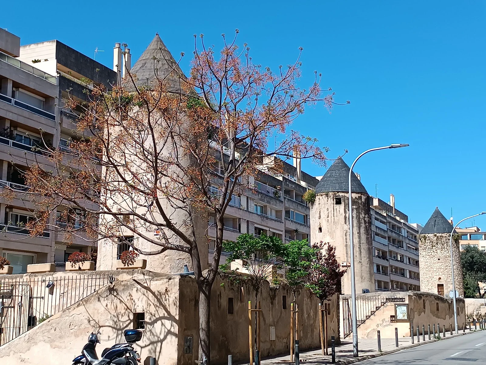 Challenge Palma Club - Bild 5