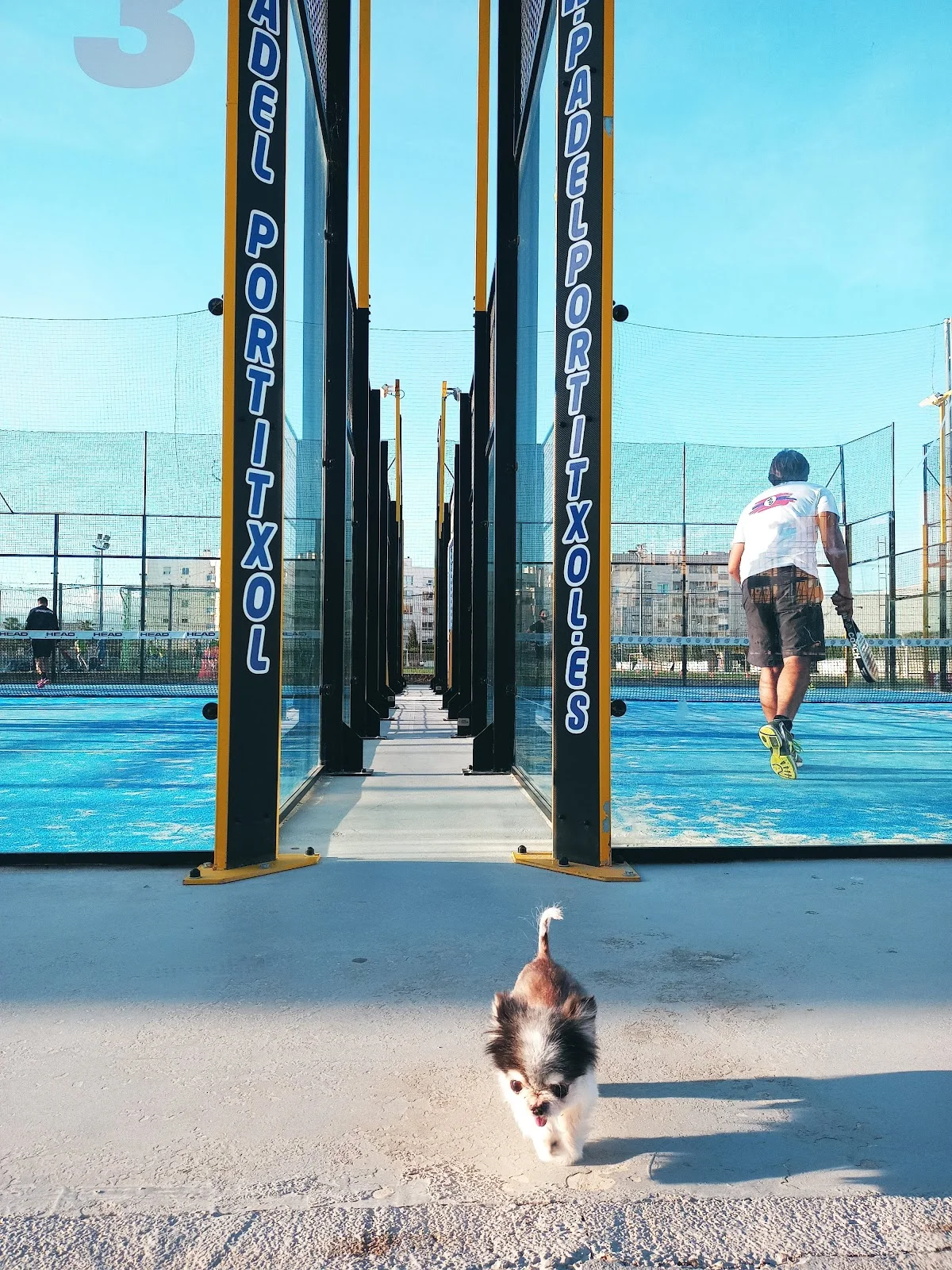 Pádel Portitxol - Bild 9