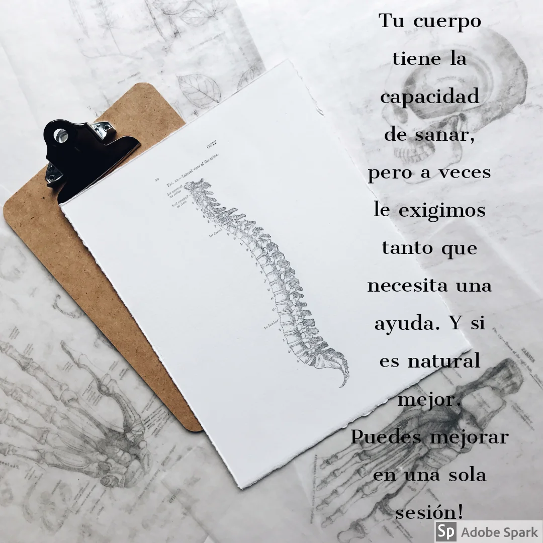 Àngel Bonafè osteòpata - Bild 3