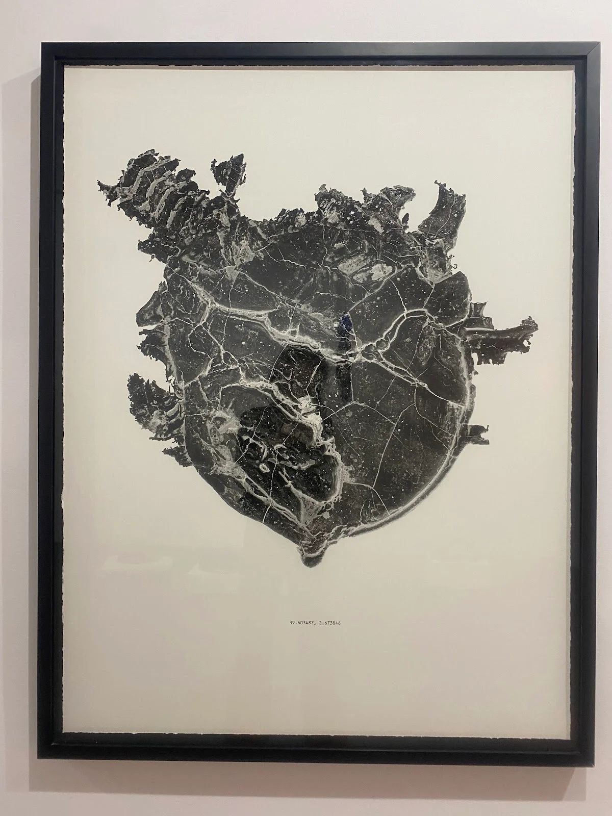 Natalia Bento Galería - Bild 6