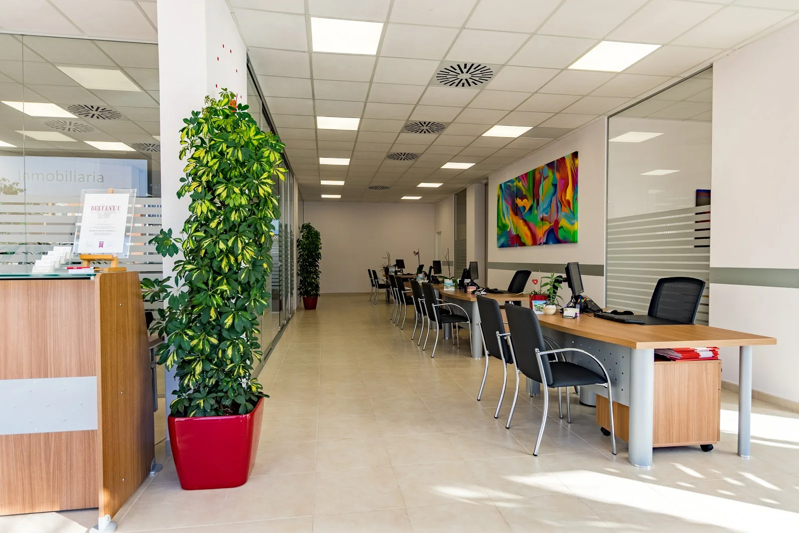 CCC Real Estate - Bild 2