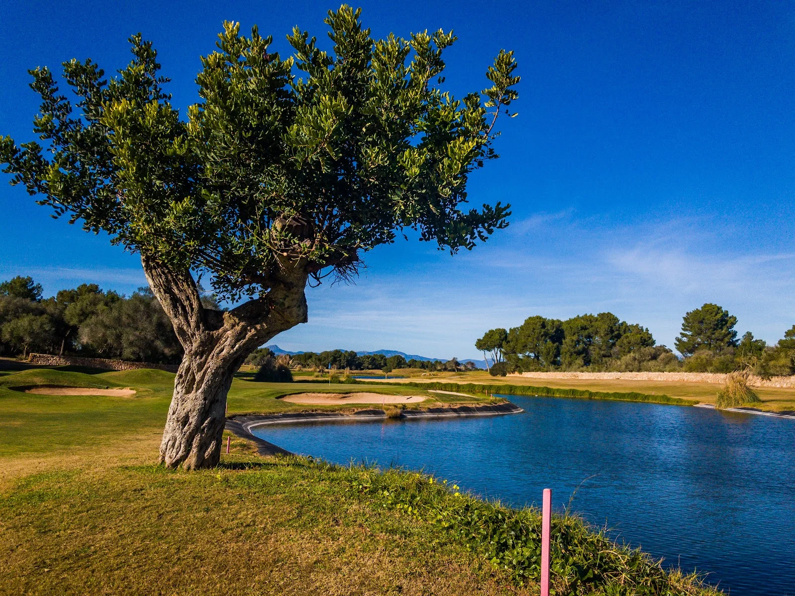 Golf Maioris - Bild 10