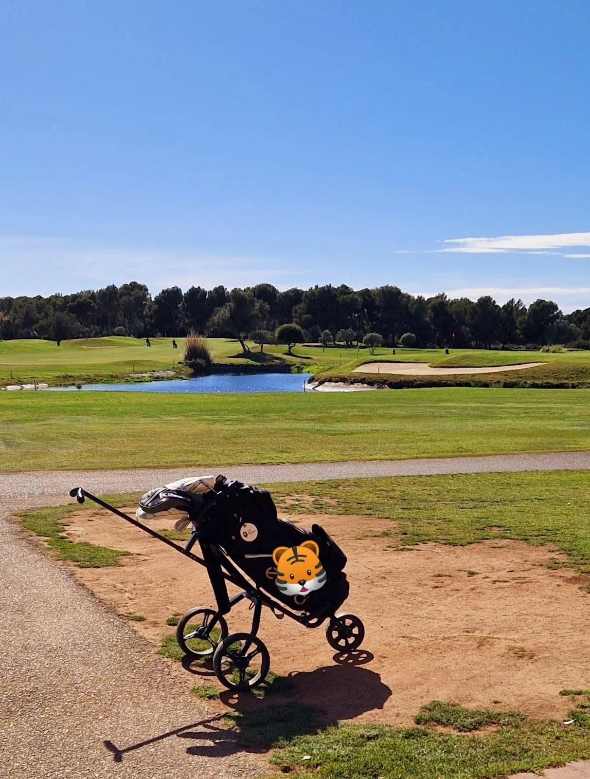 Golf Maioris - Bild 9