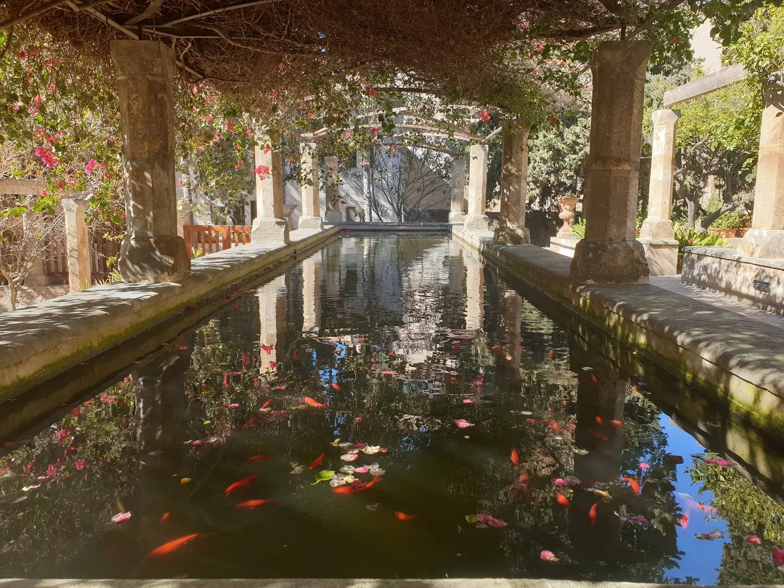 Jardí del Bisbe - Bild 10