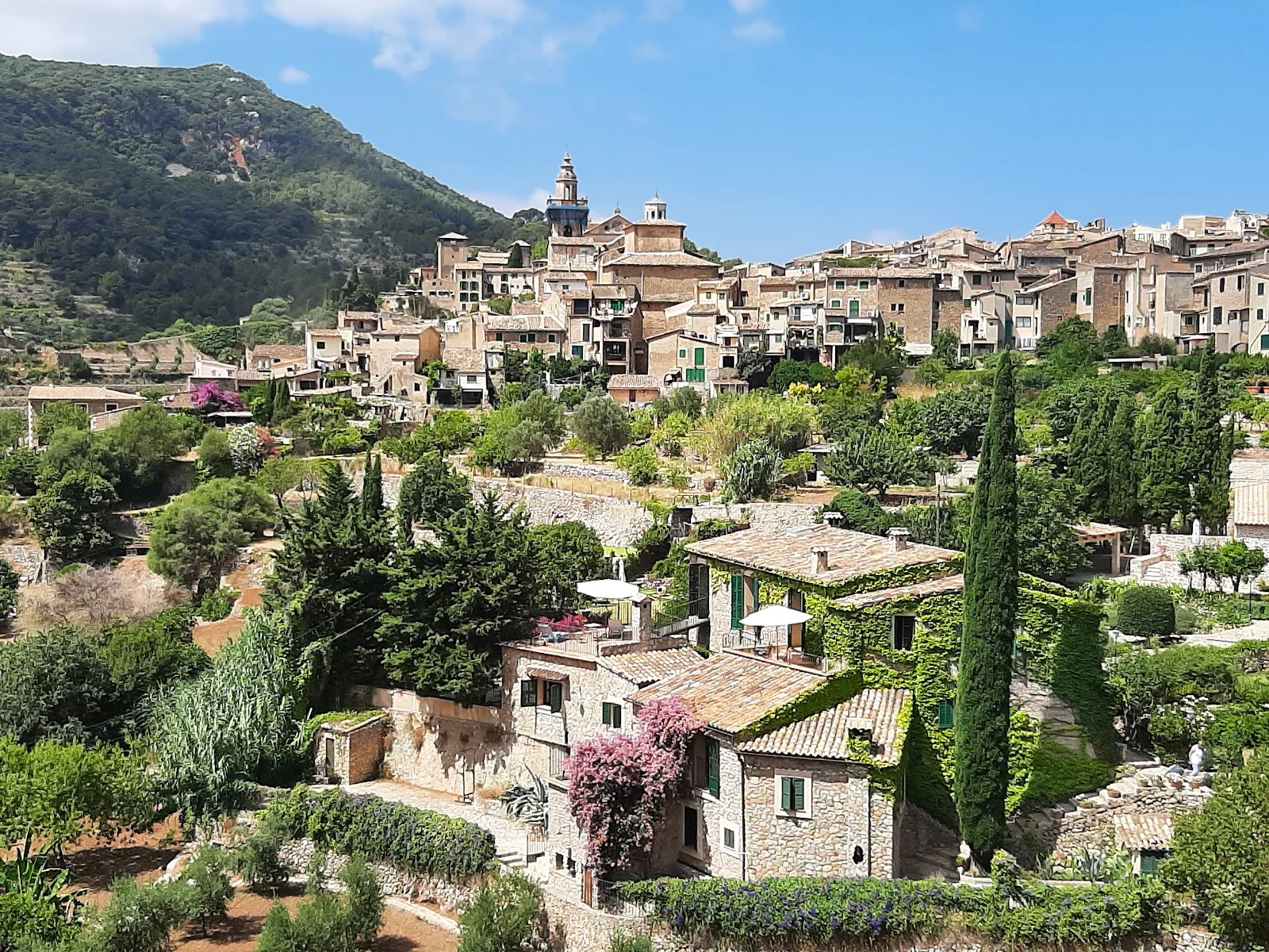Carthusian Monastery Valldemossa - Bild 10