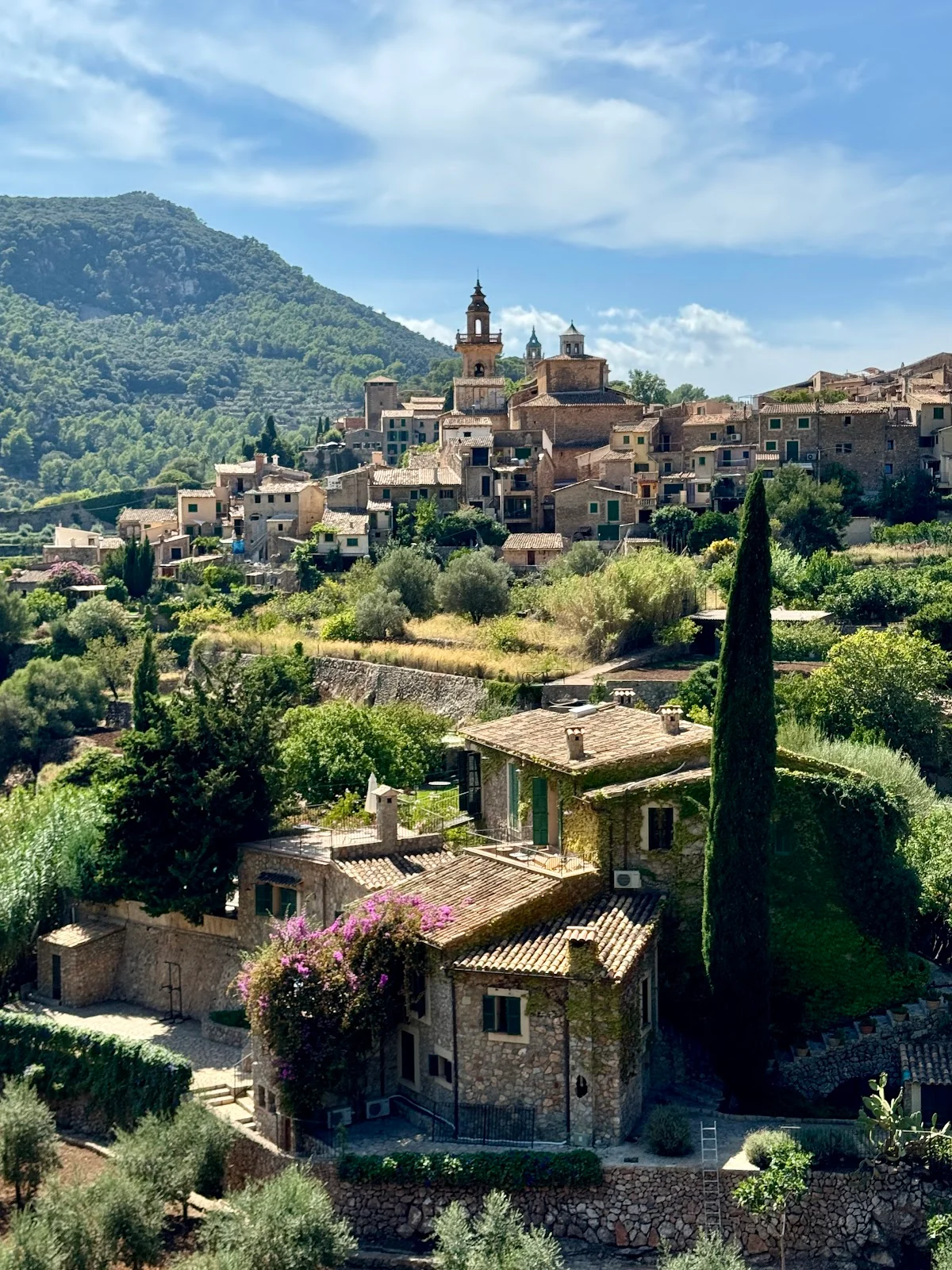 Carthusian Monastery Valldemossa - Bild 7