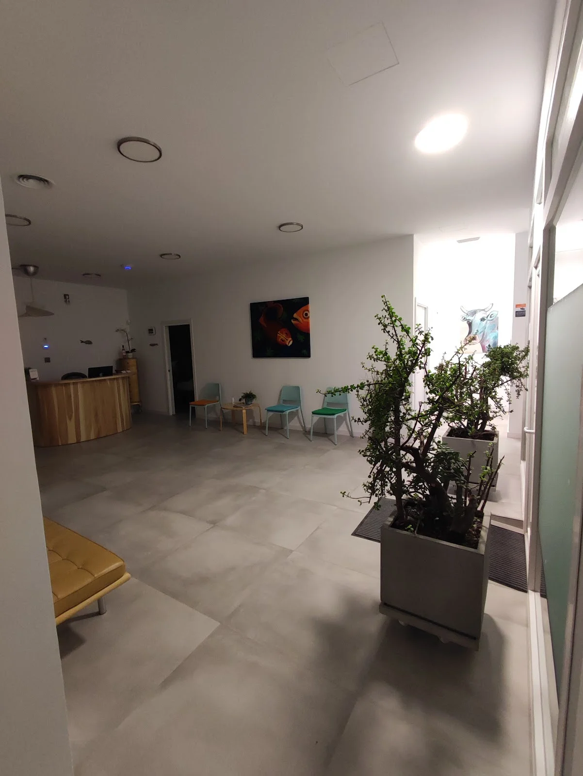 Ärztehaus Palma - Bild 3