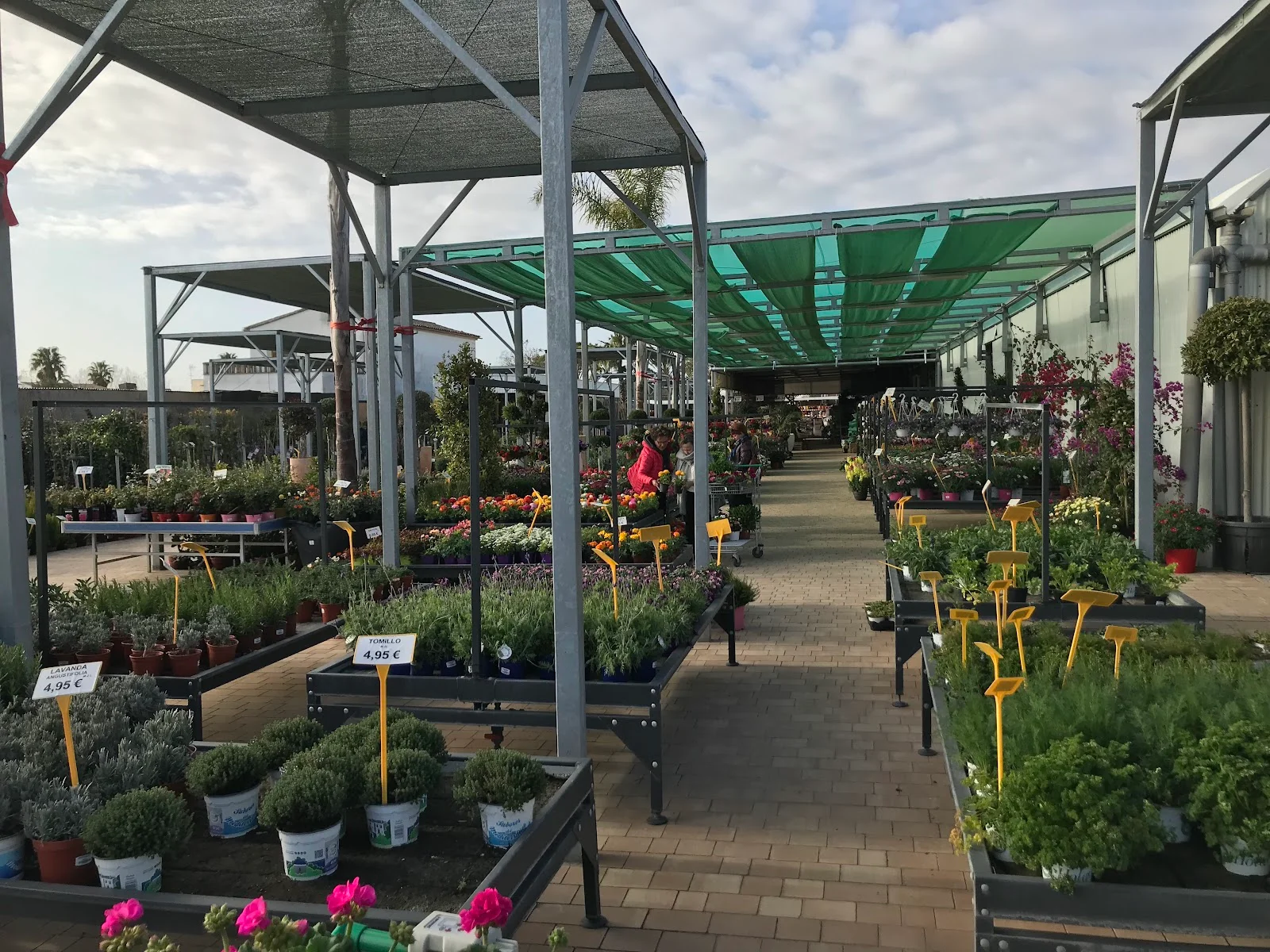 Jardín de Llucmajor SL - Bild 2