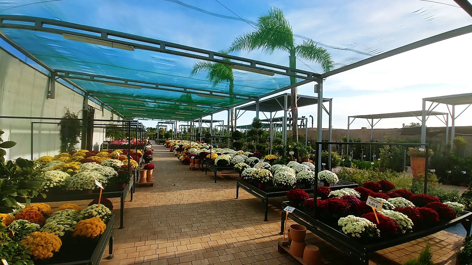 Jardín de Llucmajor SL - Bild 9