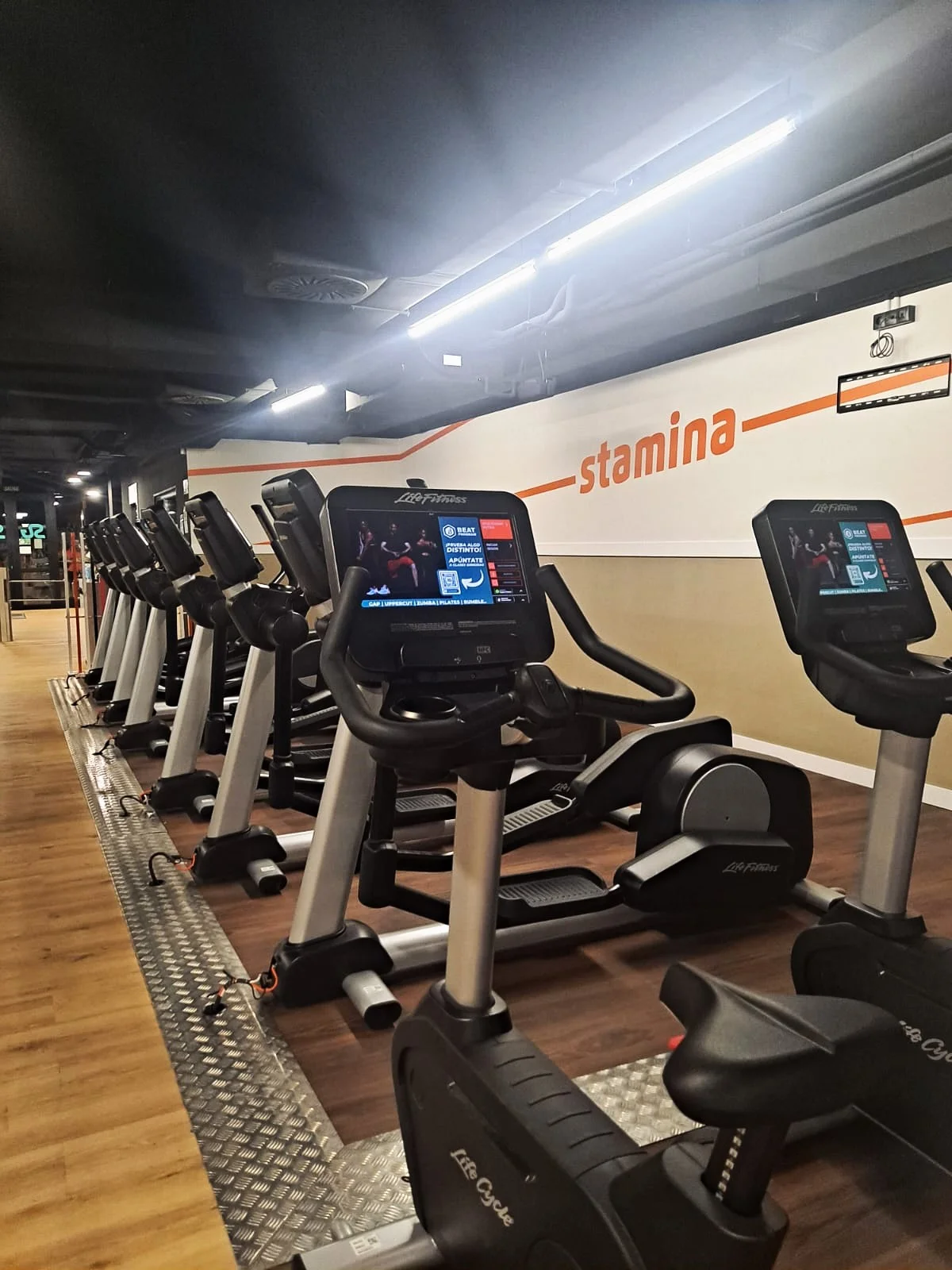 Synergym Mallorca Escorxador - Bild 5