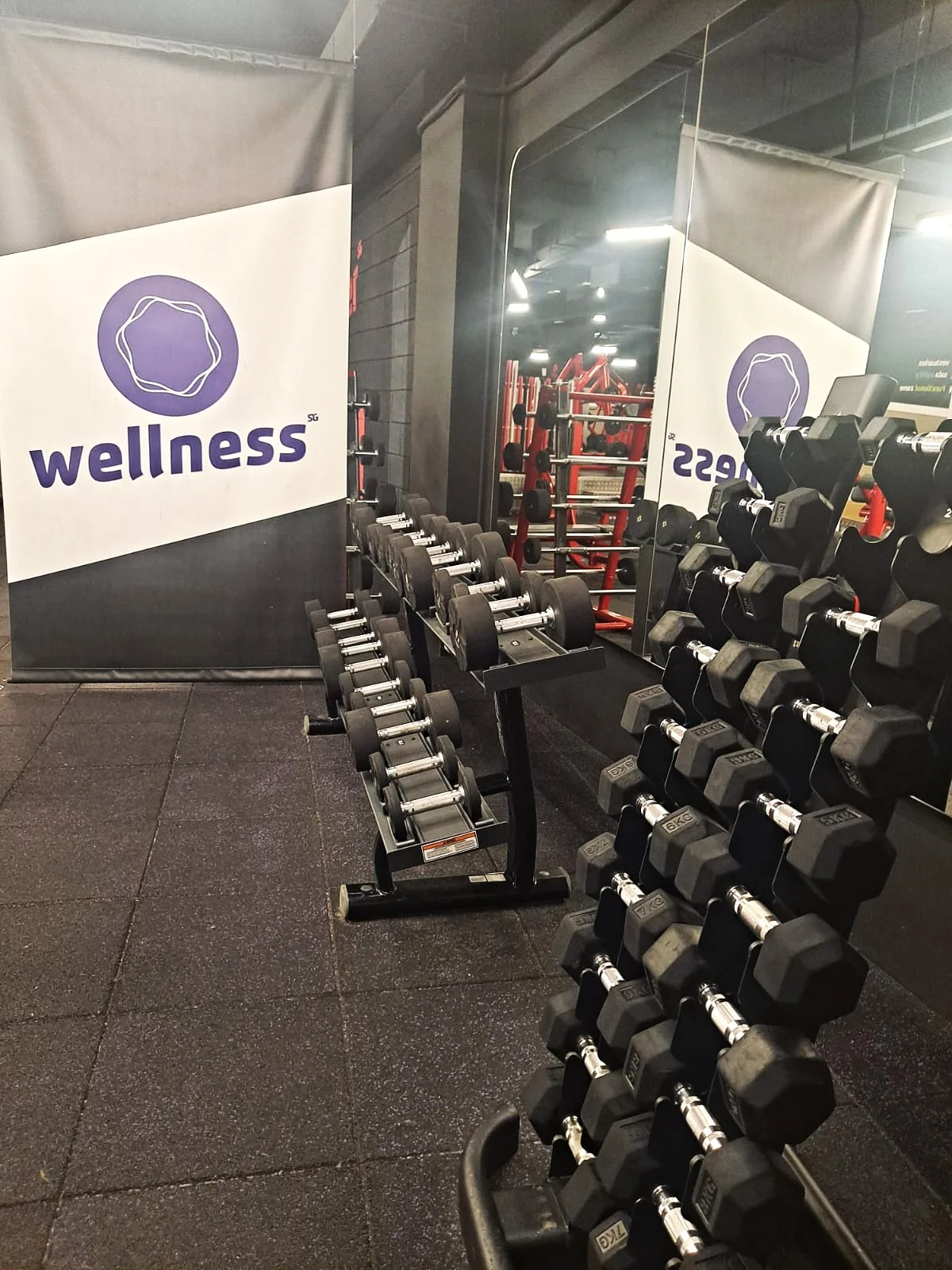 Synergym Mallorca Escorxador - Bild 7