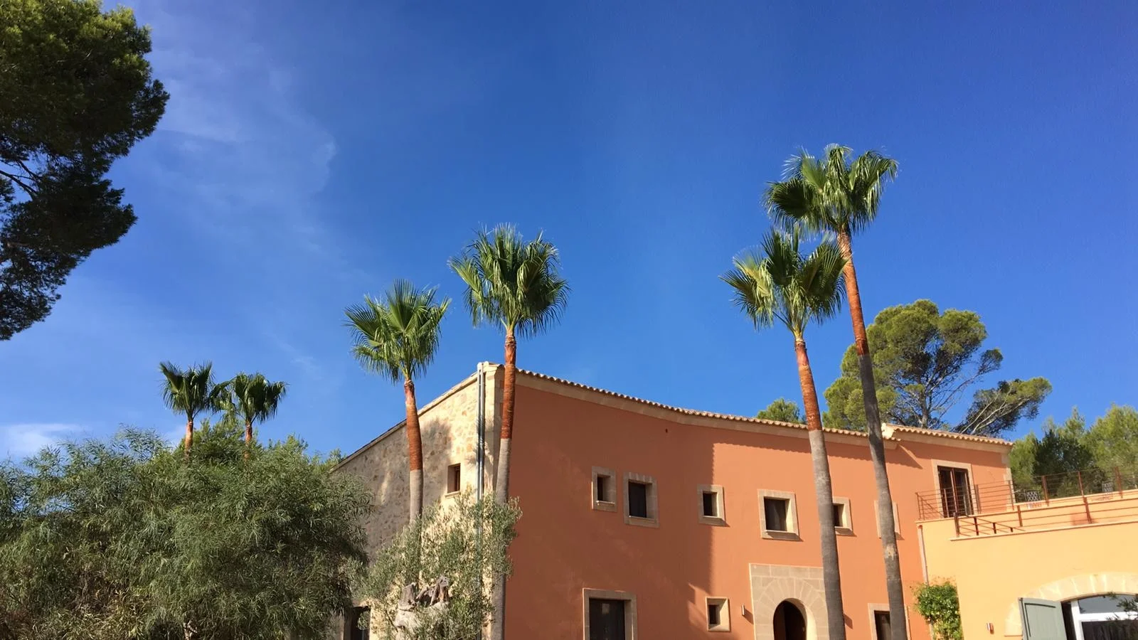 Mallorca Garten - Bild 10