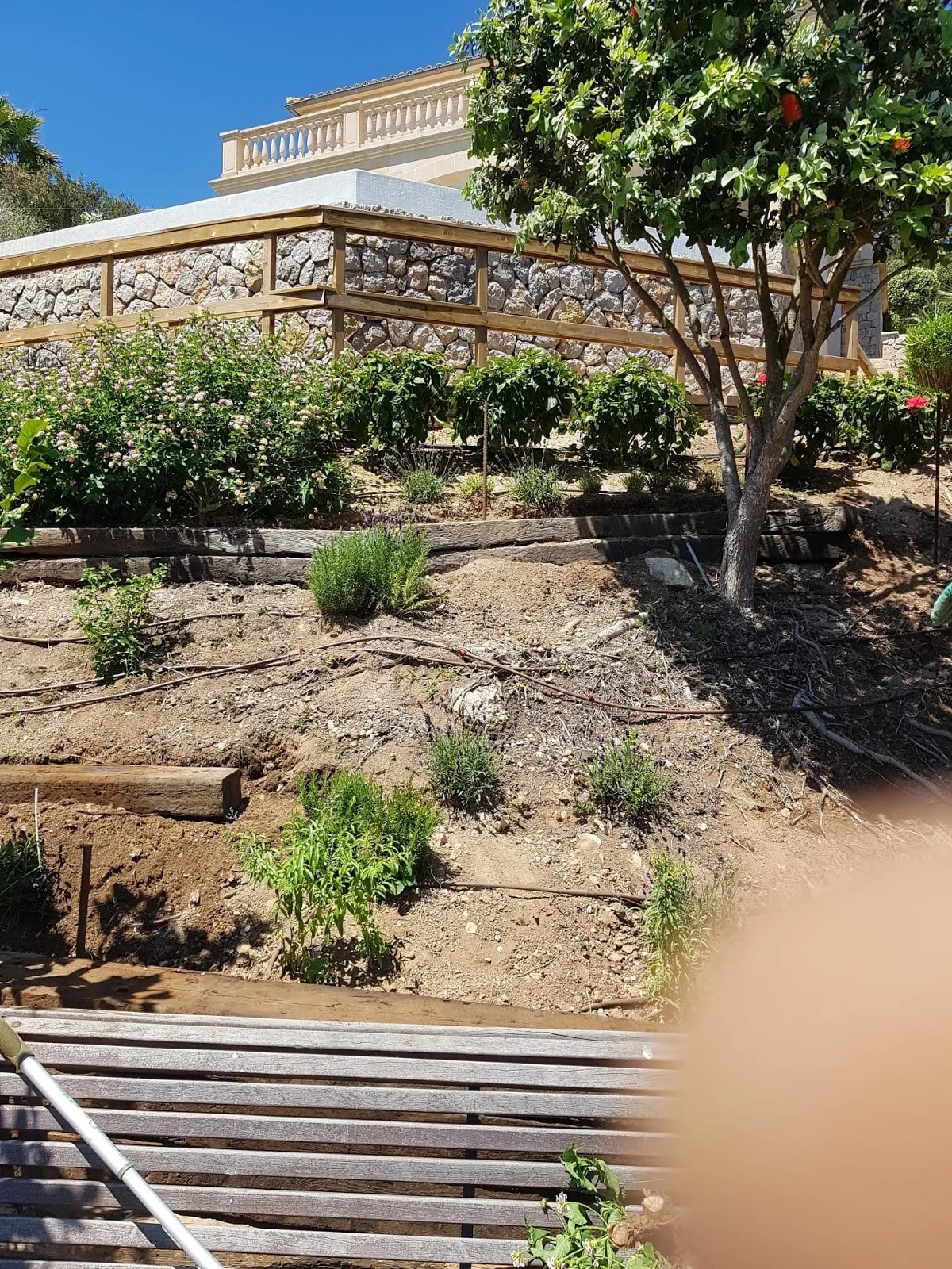 Mallorca Garten - Bild 6