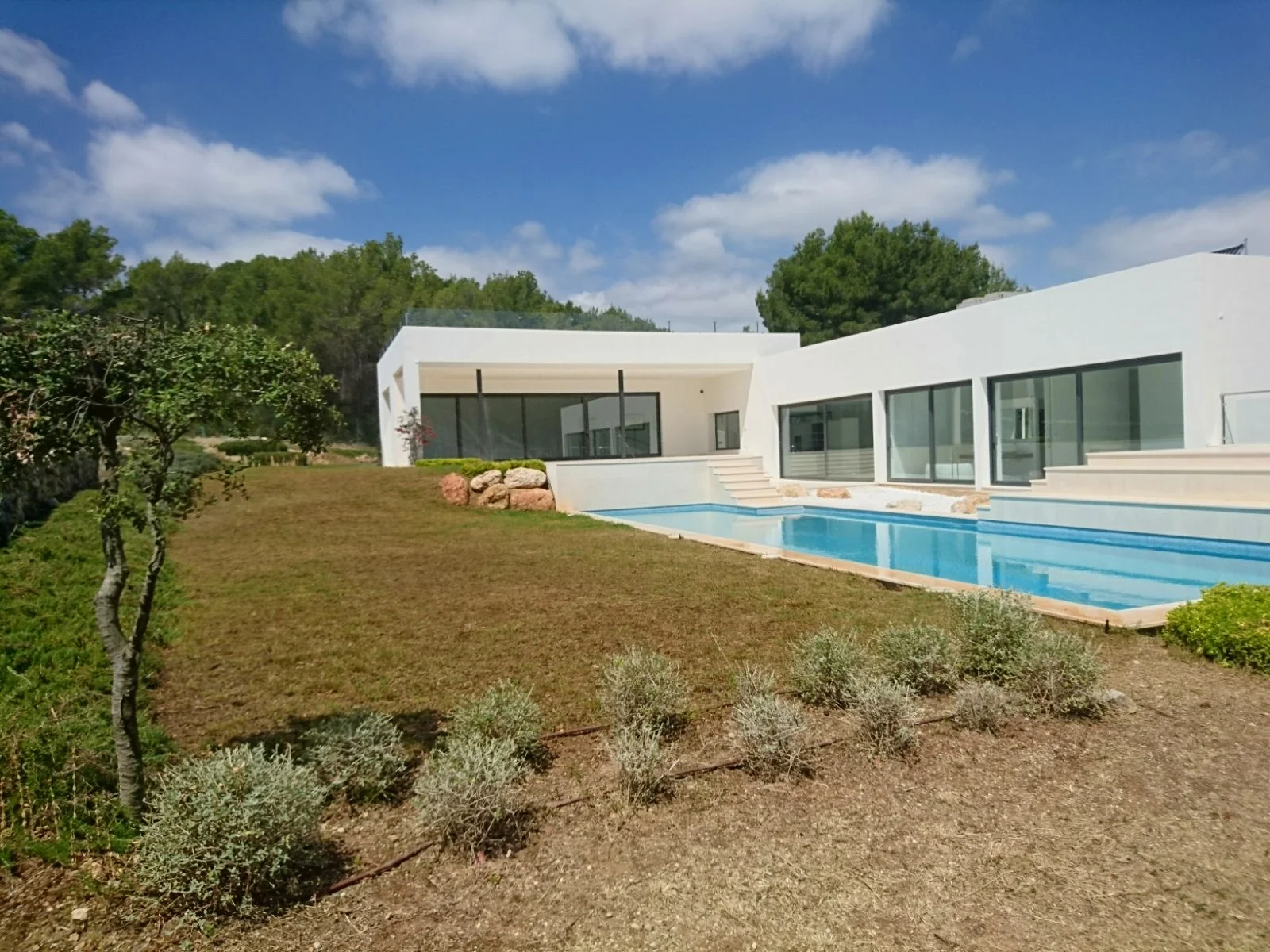 Mallorca Garten - Bild 7