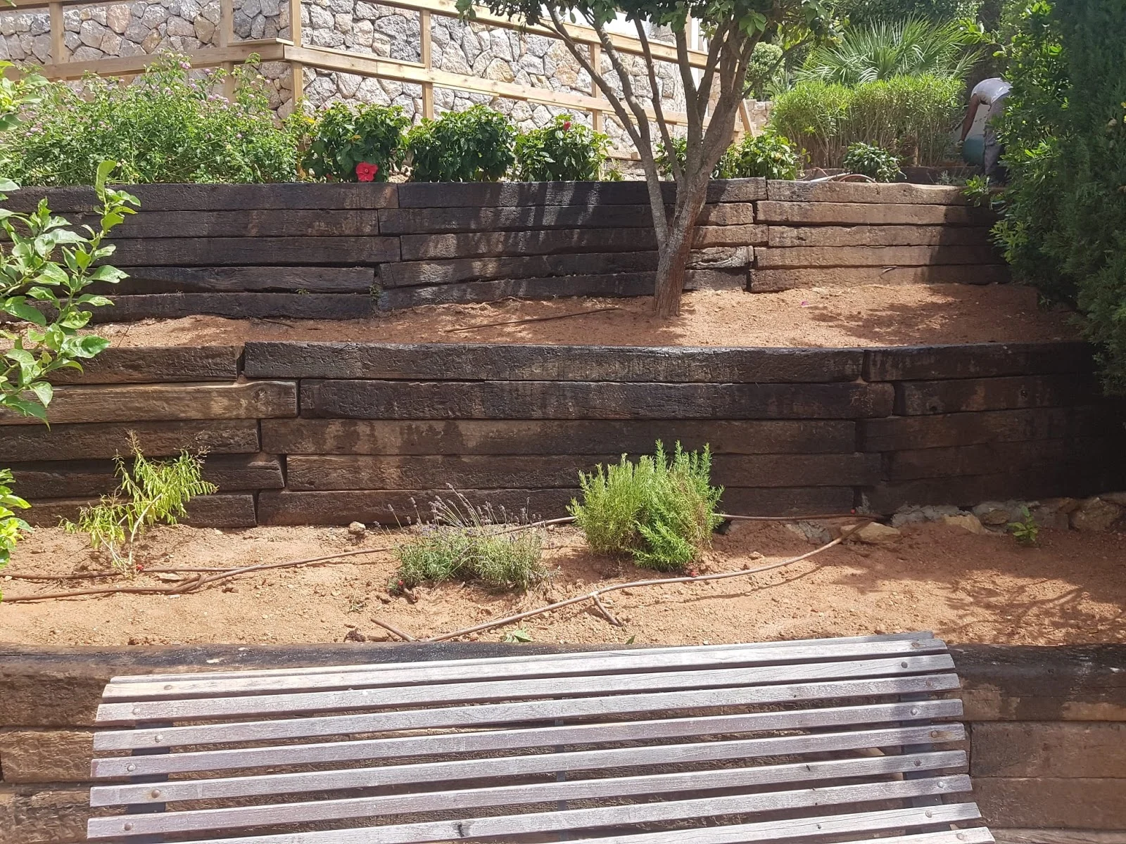 Mallorca Garten - Bild 9