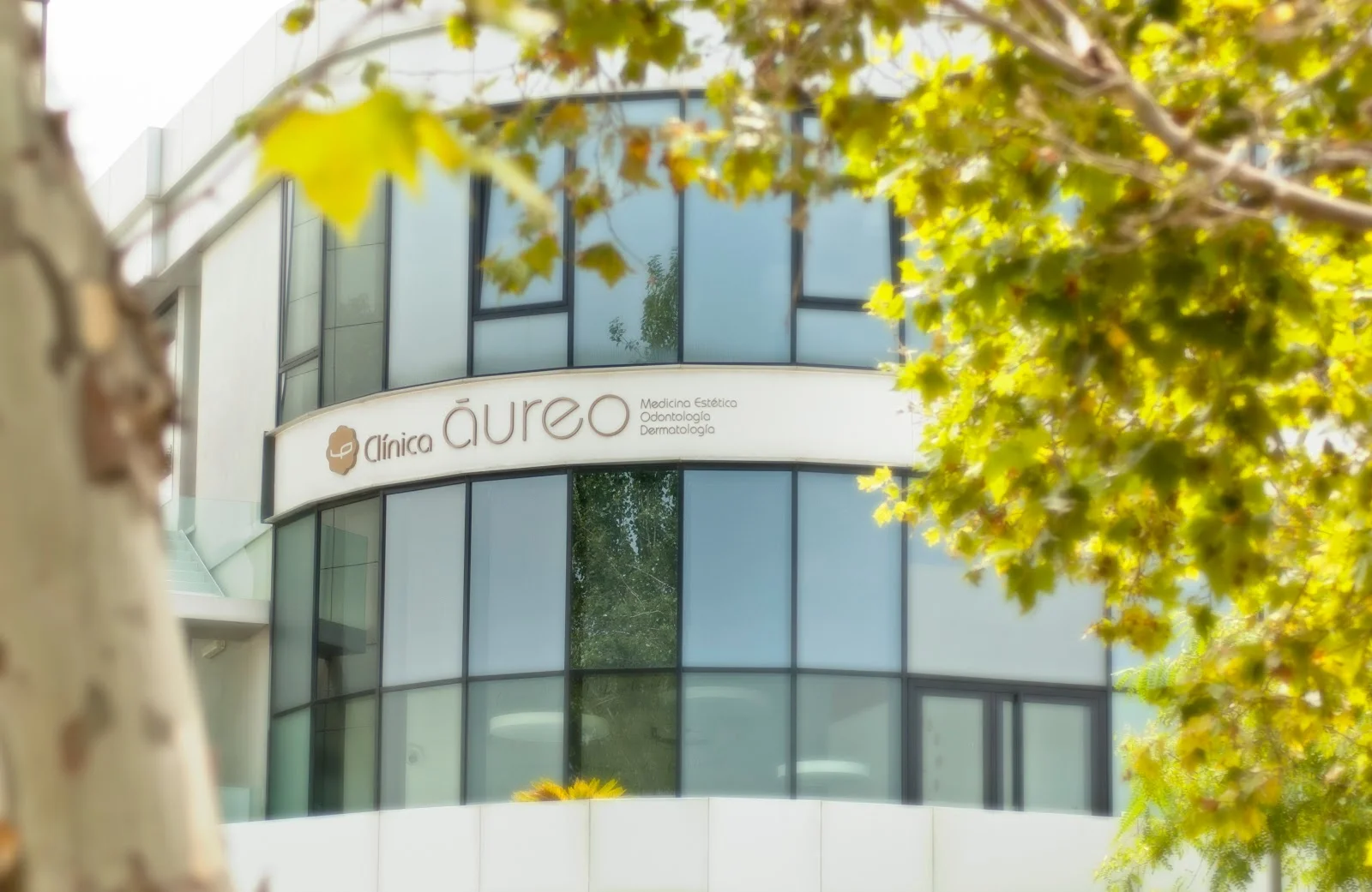 Clínica Áureo - Medicina Estética y Dental - Bild 3