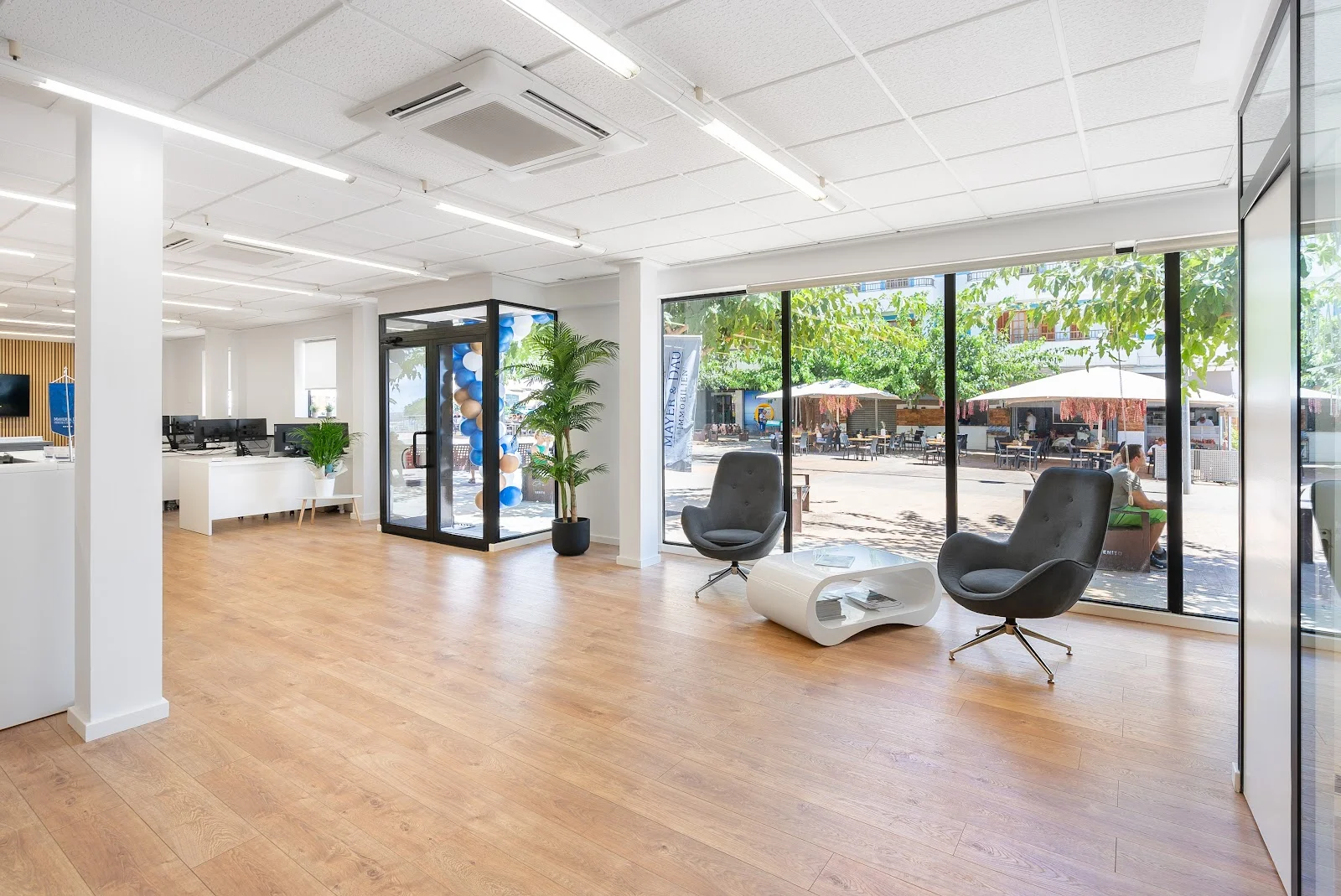 Mayer & Dau Immobilien Mallorca - Bild 2