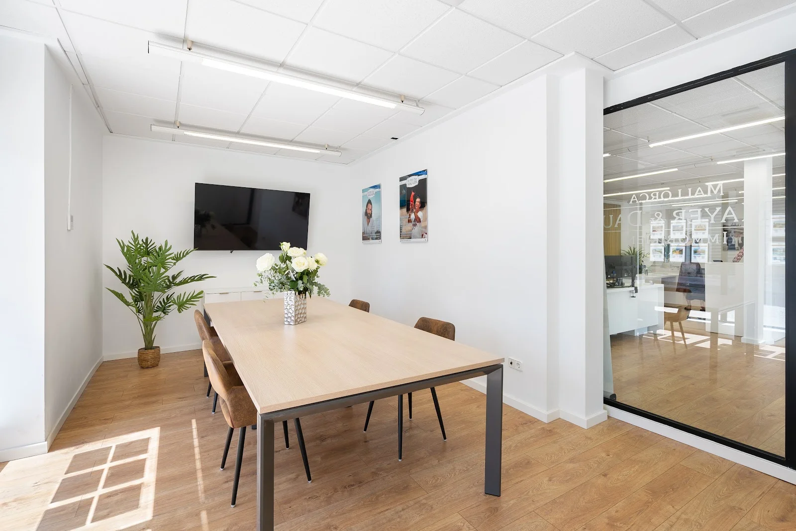 Mayer & Dau Immobilien Mallorca - Bild 3