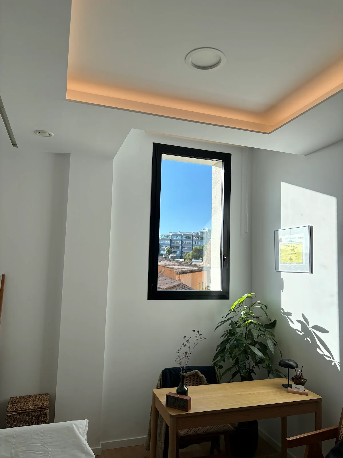 The Movement - Bild 8