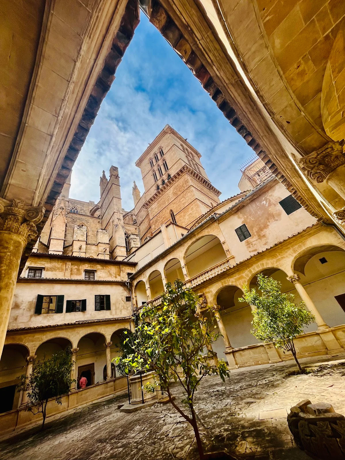 Catedral-Basílica de Santa María de Mallorca - Bild 10