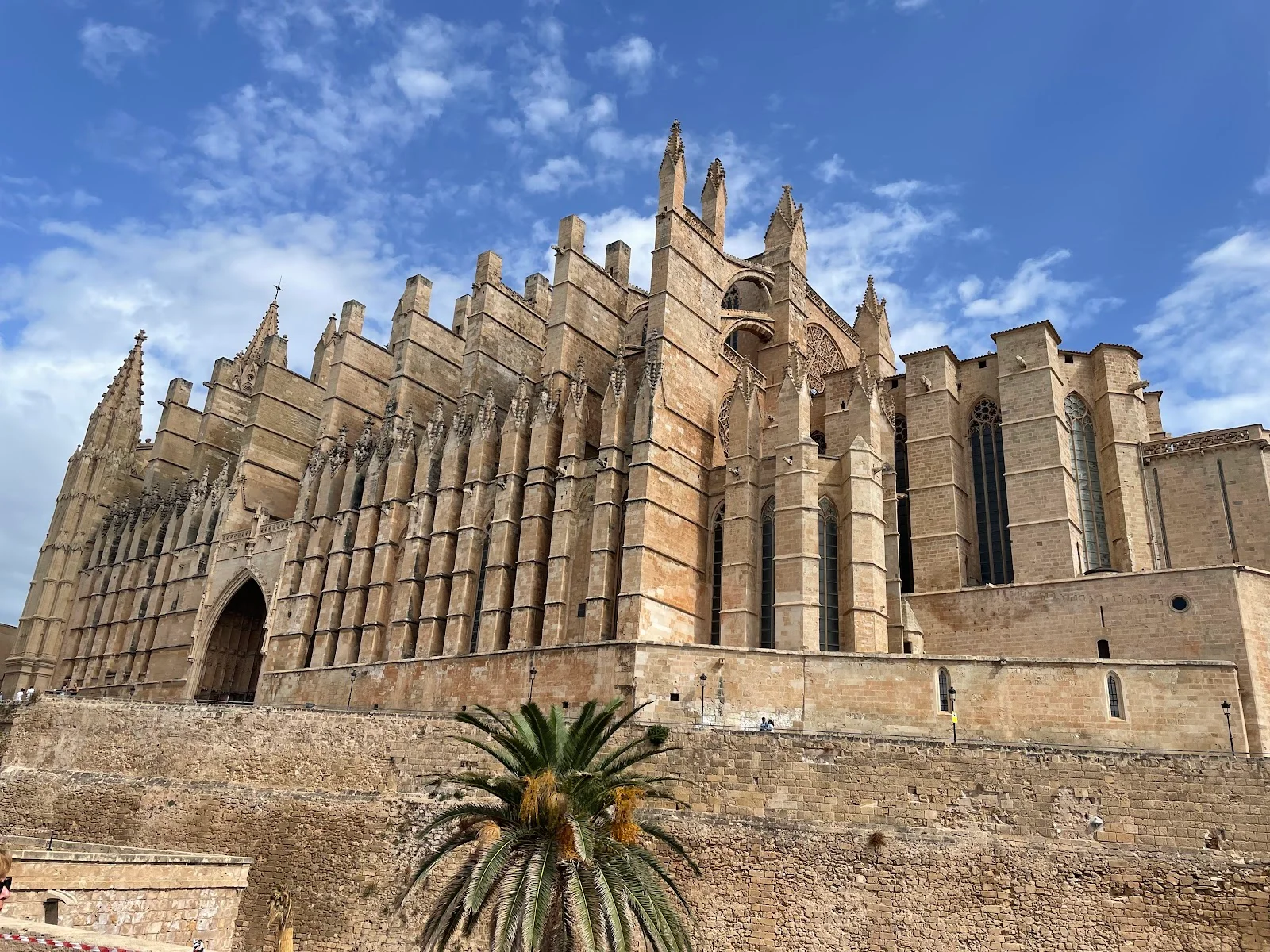 Catedral-Basílica de Santa María de Mallorca - Bild 6