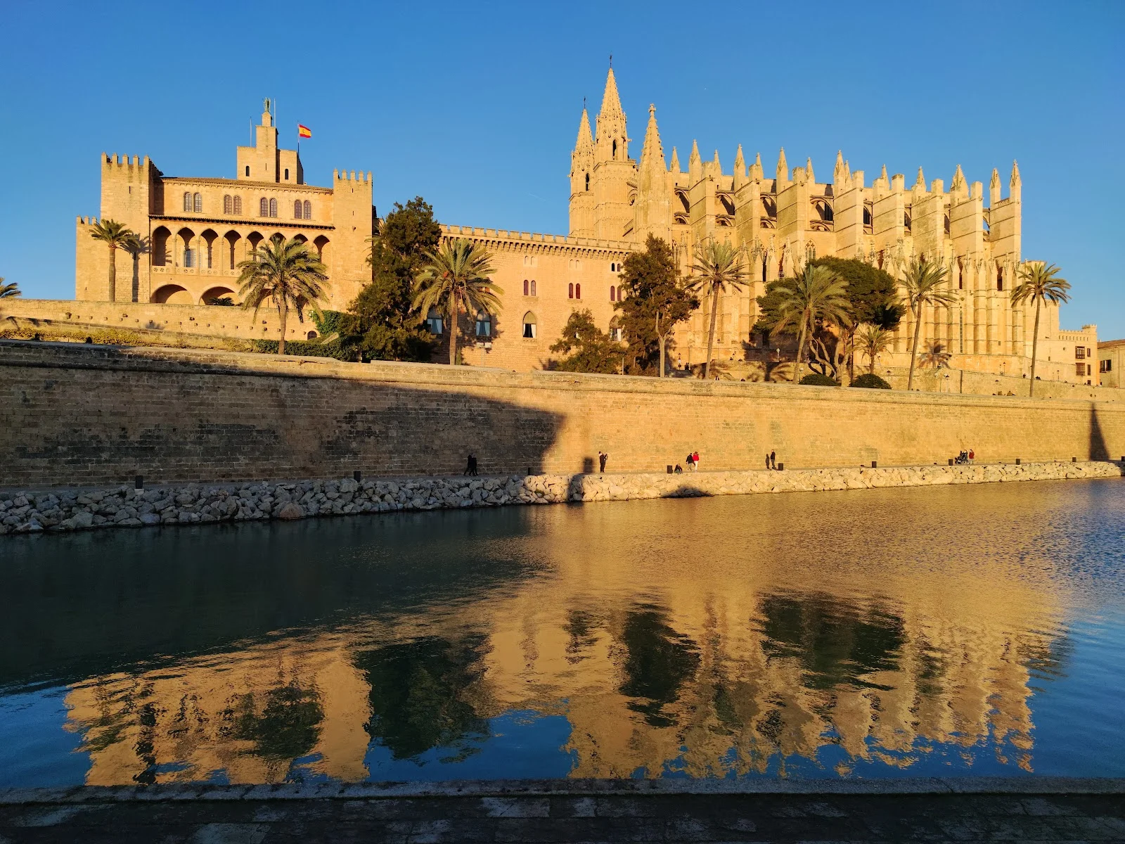 Catedral-Basílica de Santa María de Mallorca - Bild 8