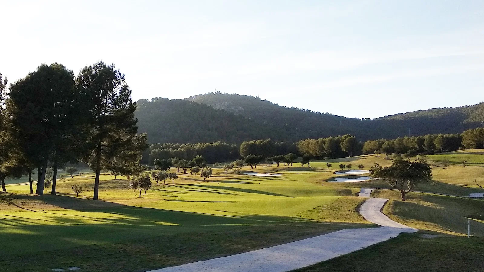 Golf Son Quint - Bild 1