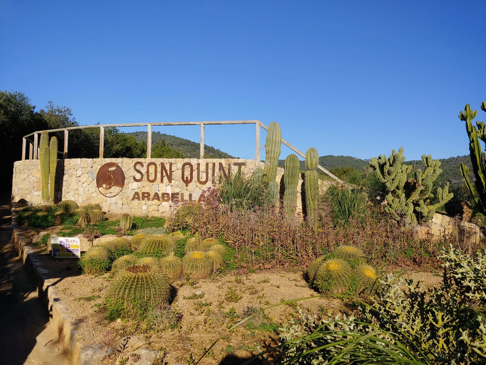 Golf Son Quint - Bild 5