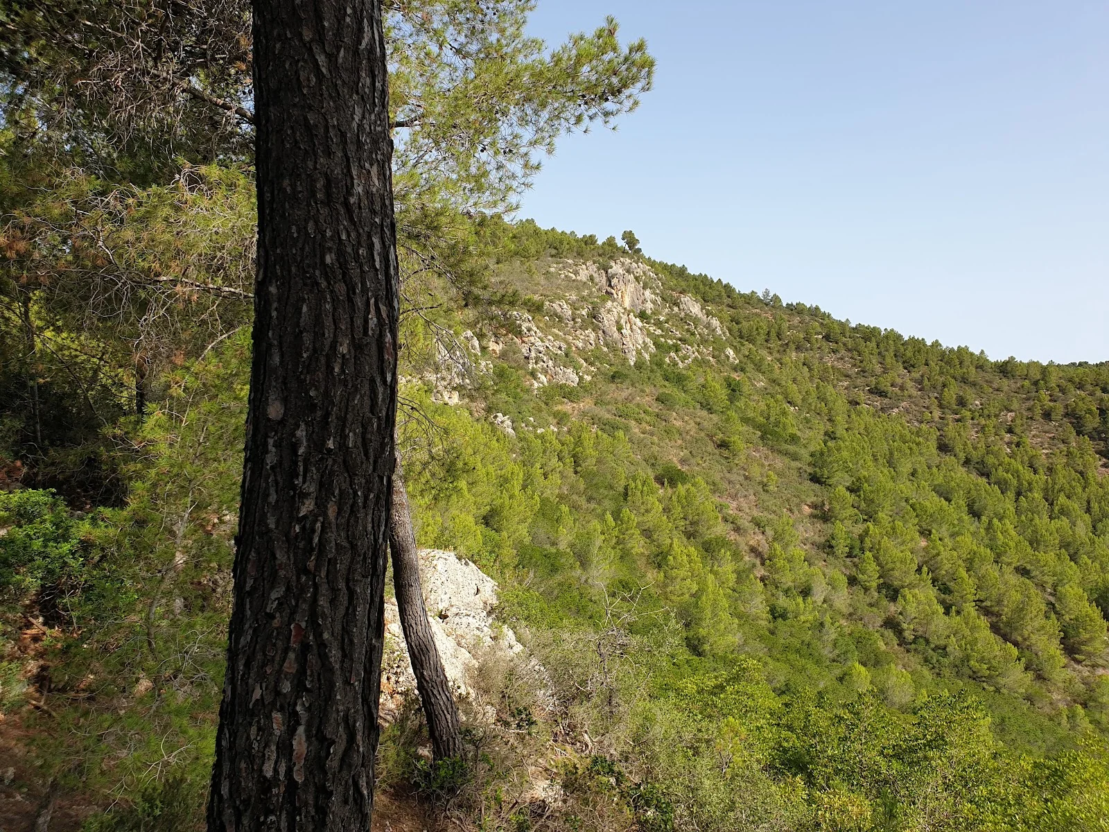 Golf Son Quint - Bild 7