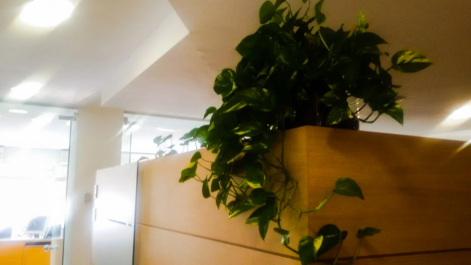 Punto Dental - Bild 7