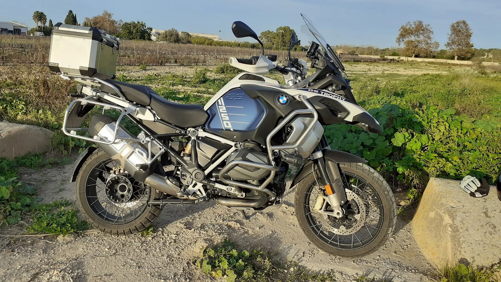 Mallorquin-Bikes SL - Bild 3