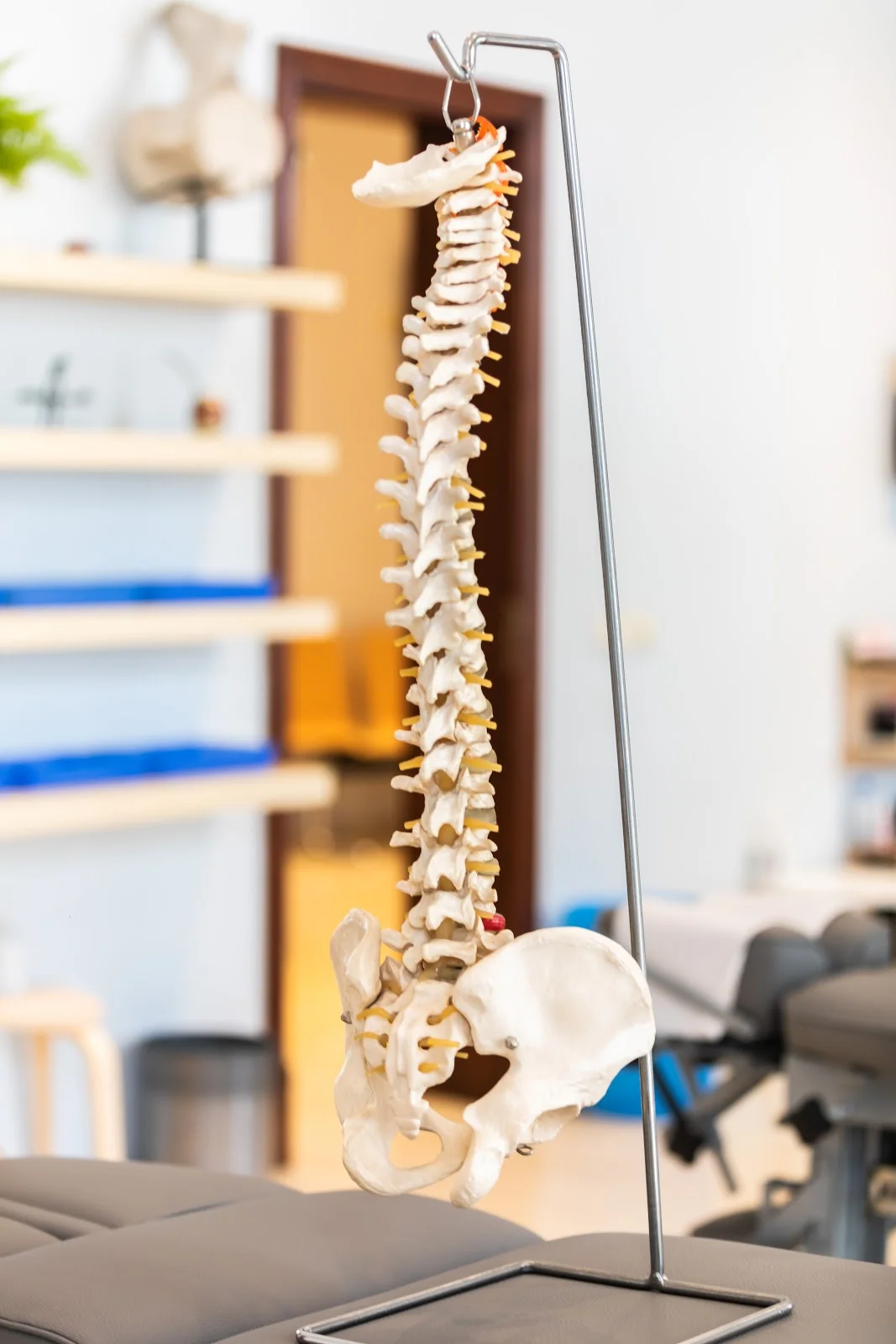 Centro Quiropráctico Marc Hudson - Bild 8