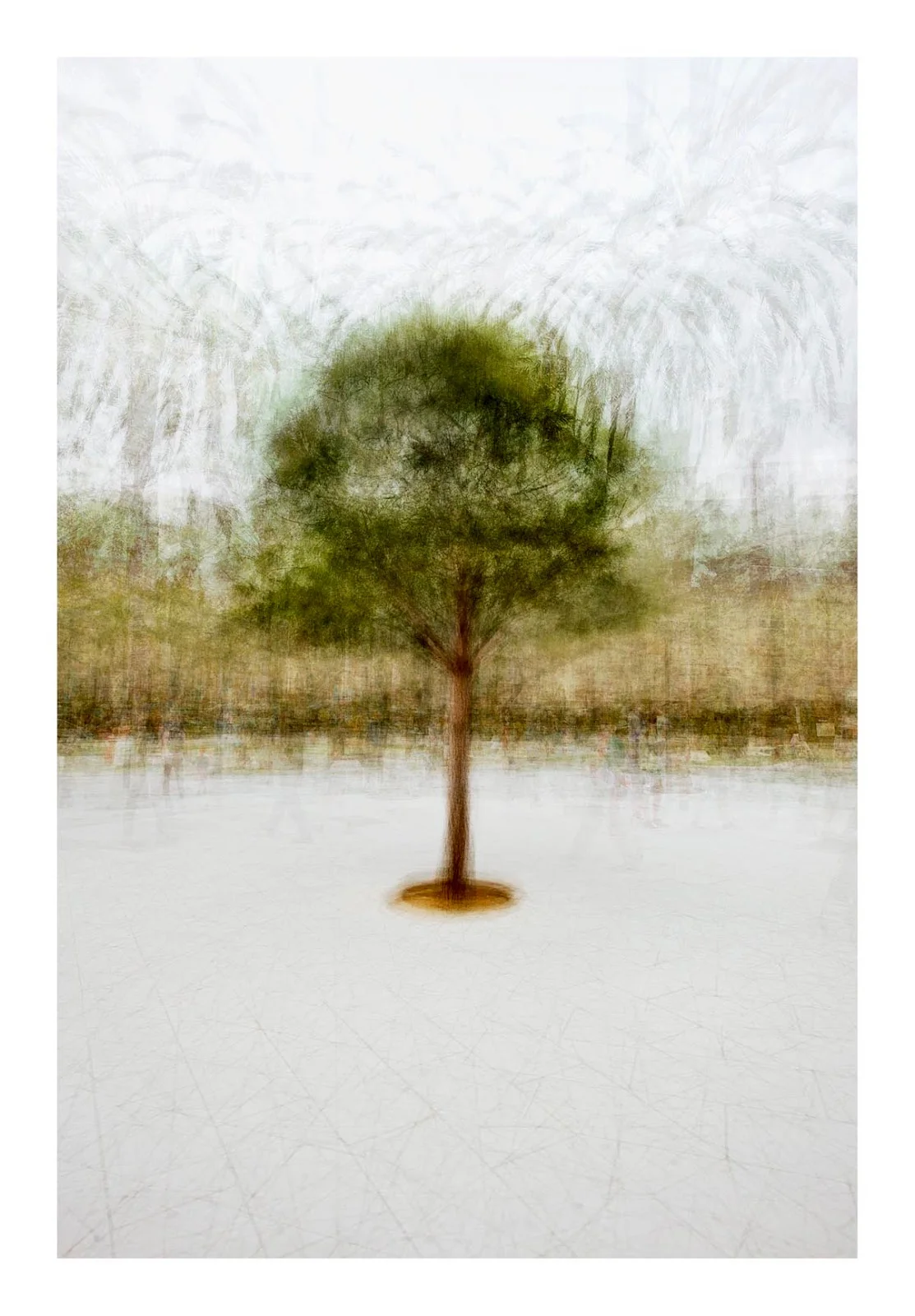 IN THE GALLERY MUSEUM - Bild 8