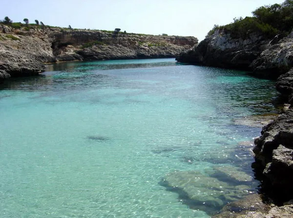 Mallorca Global Charter - Bild 6